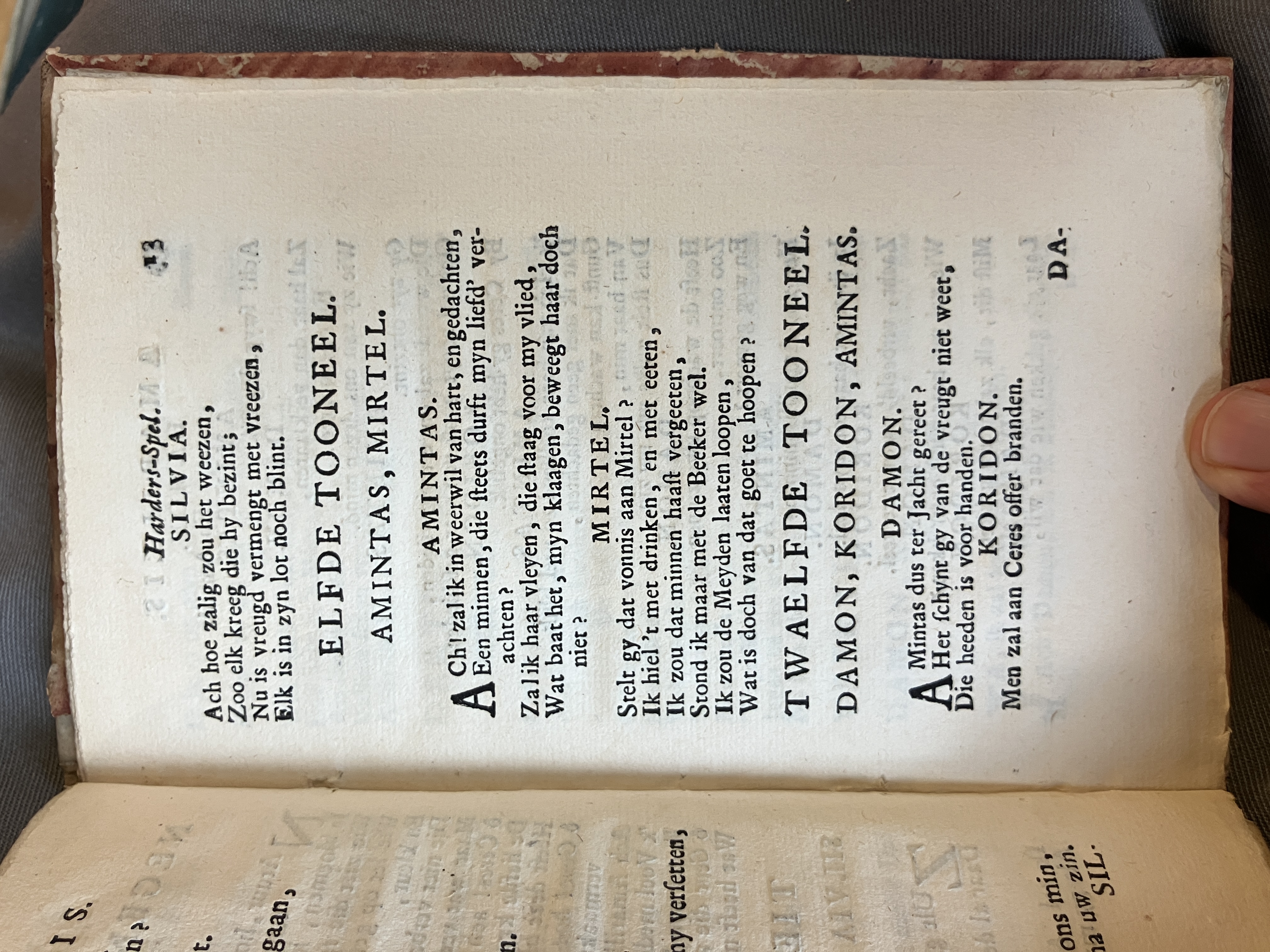 LingelbachAmarillis1713ca13