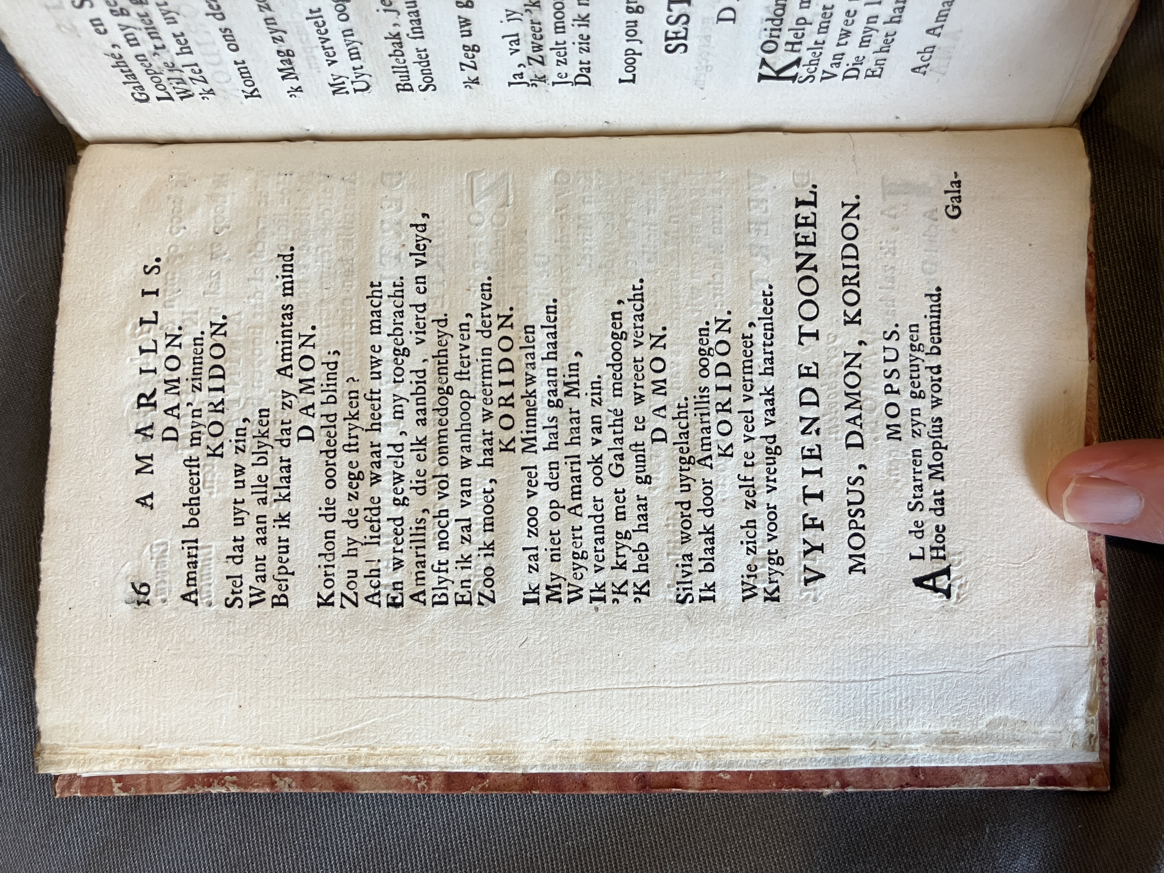 LingelbachAmarillis1713ca16
