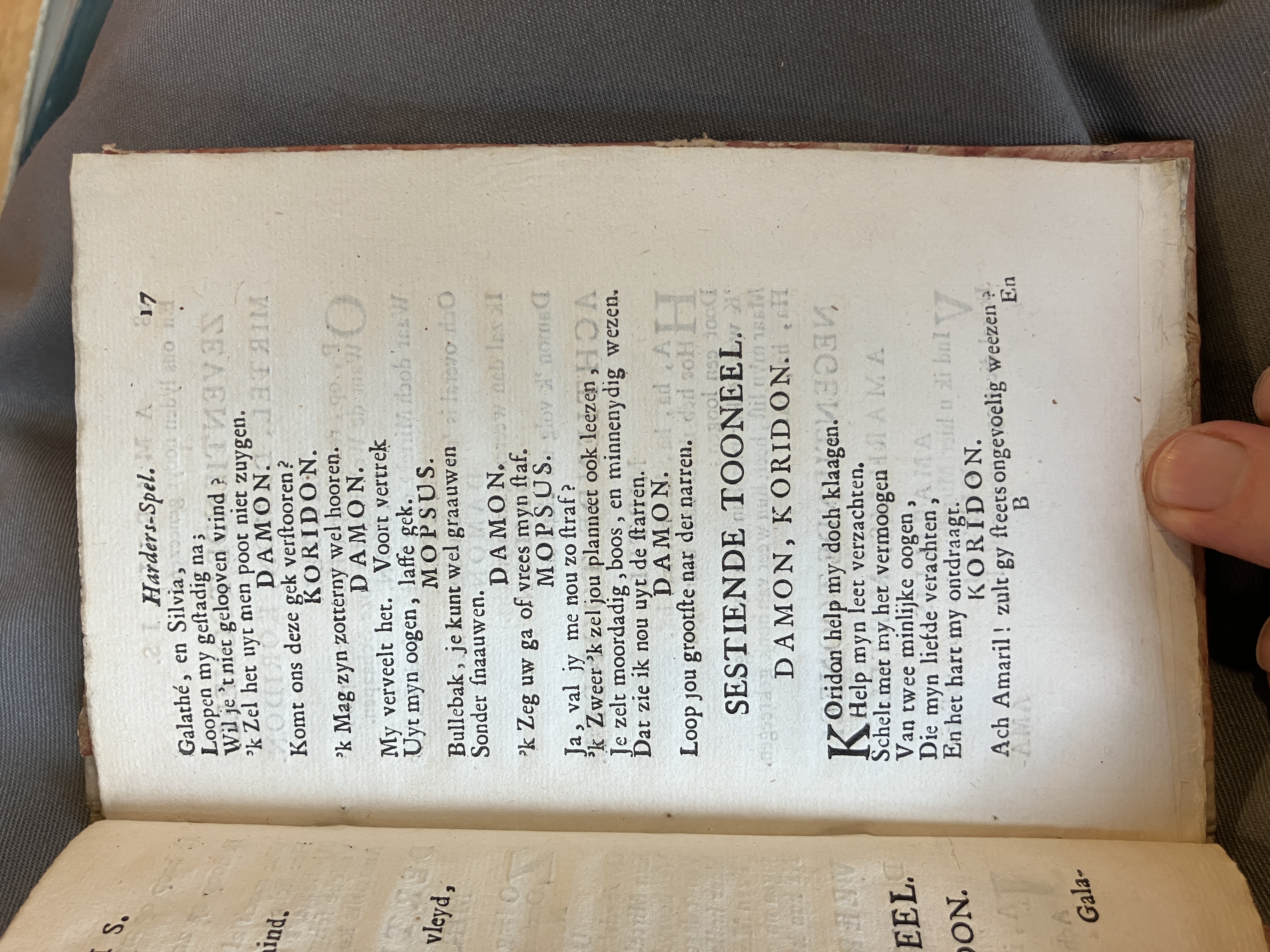 LingelbachAmarillis1713ca17
