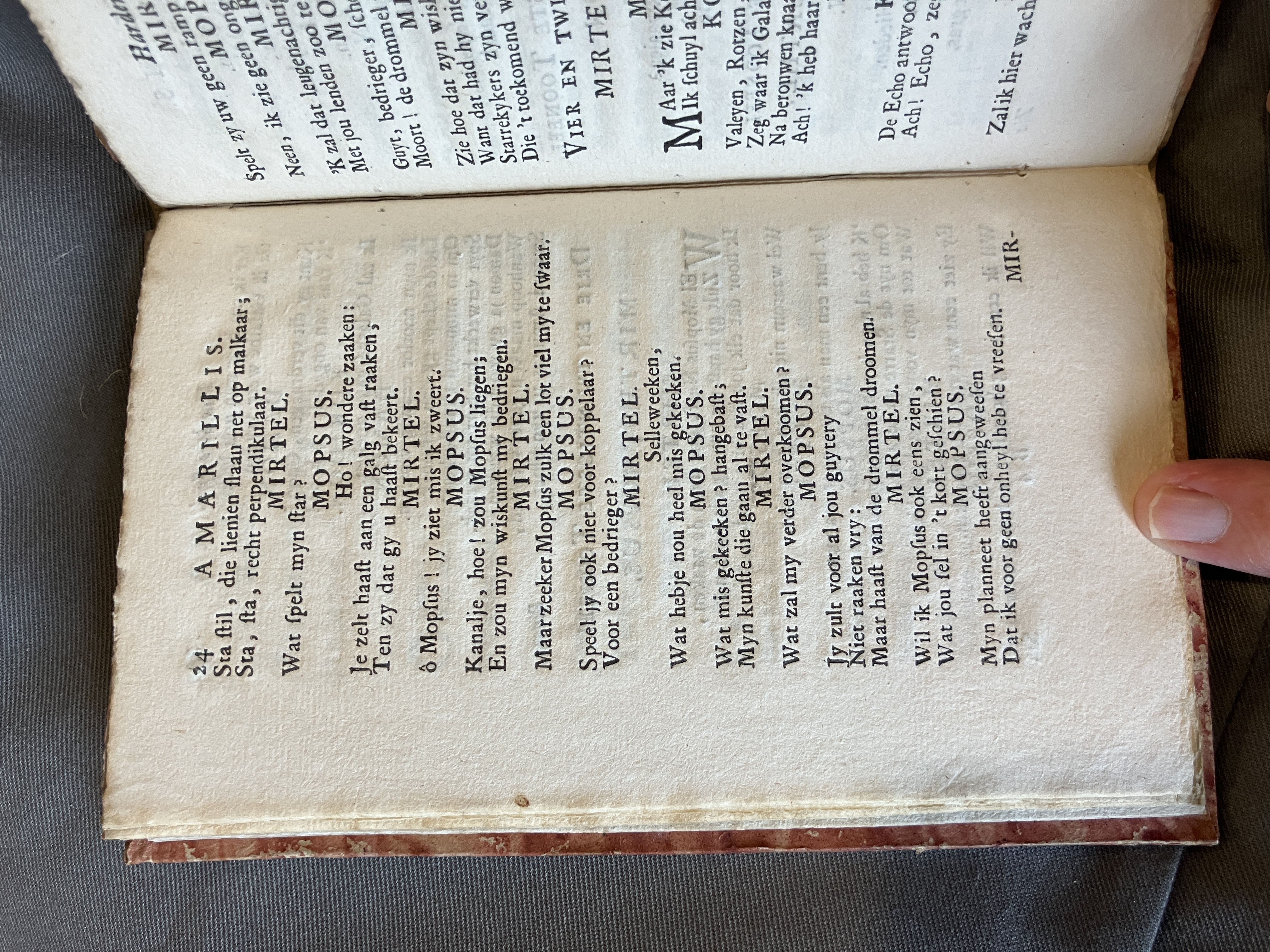 LingelbachAmarillis1713ca24