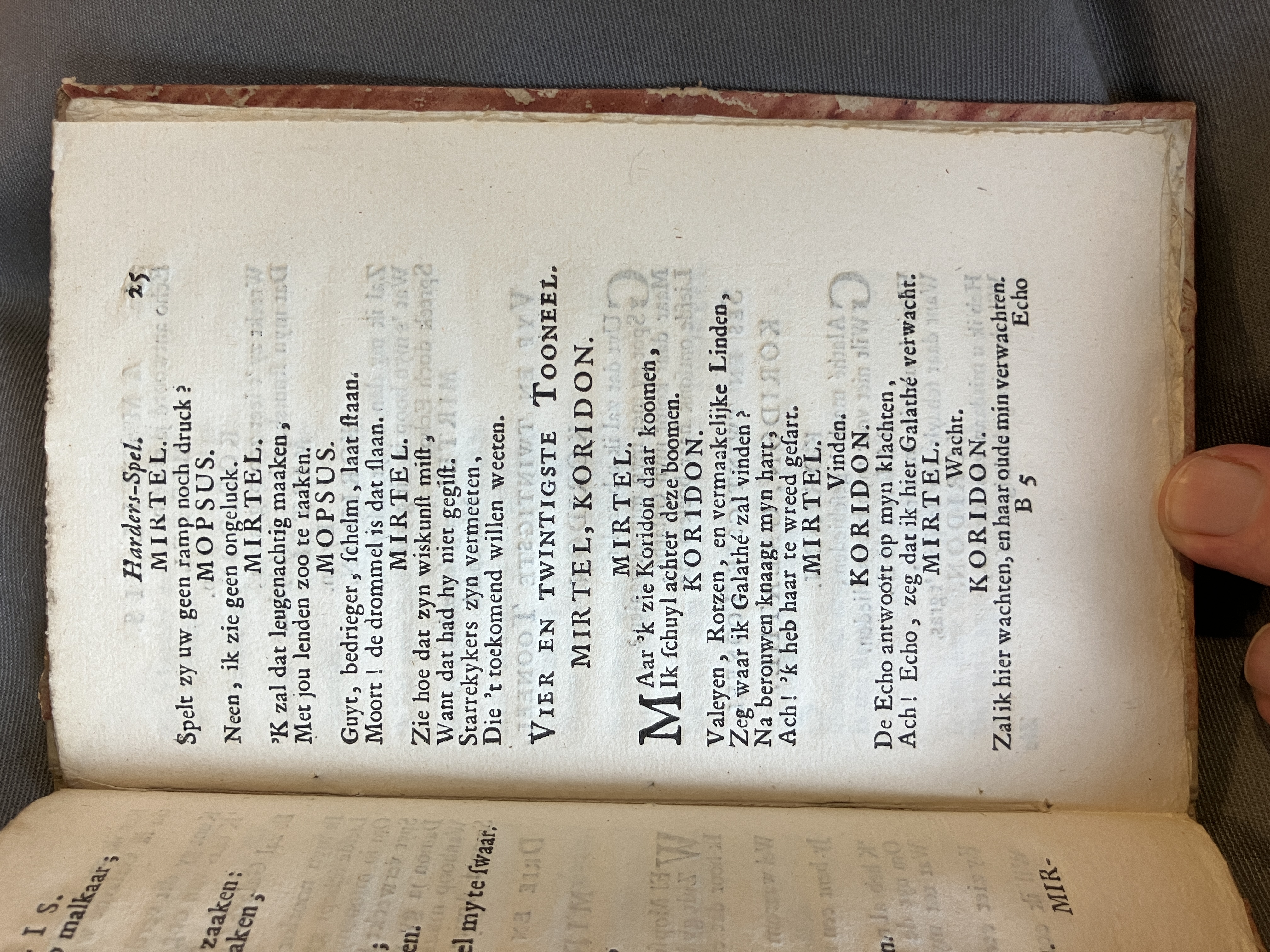 LingelbachAmarillis1713ca25