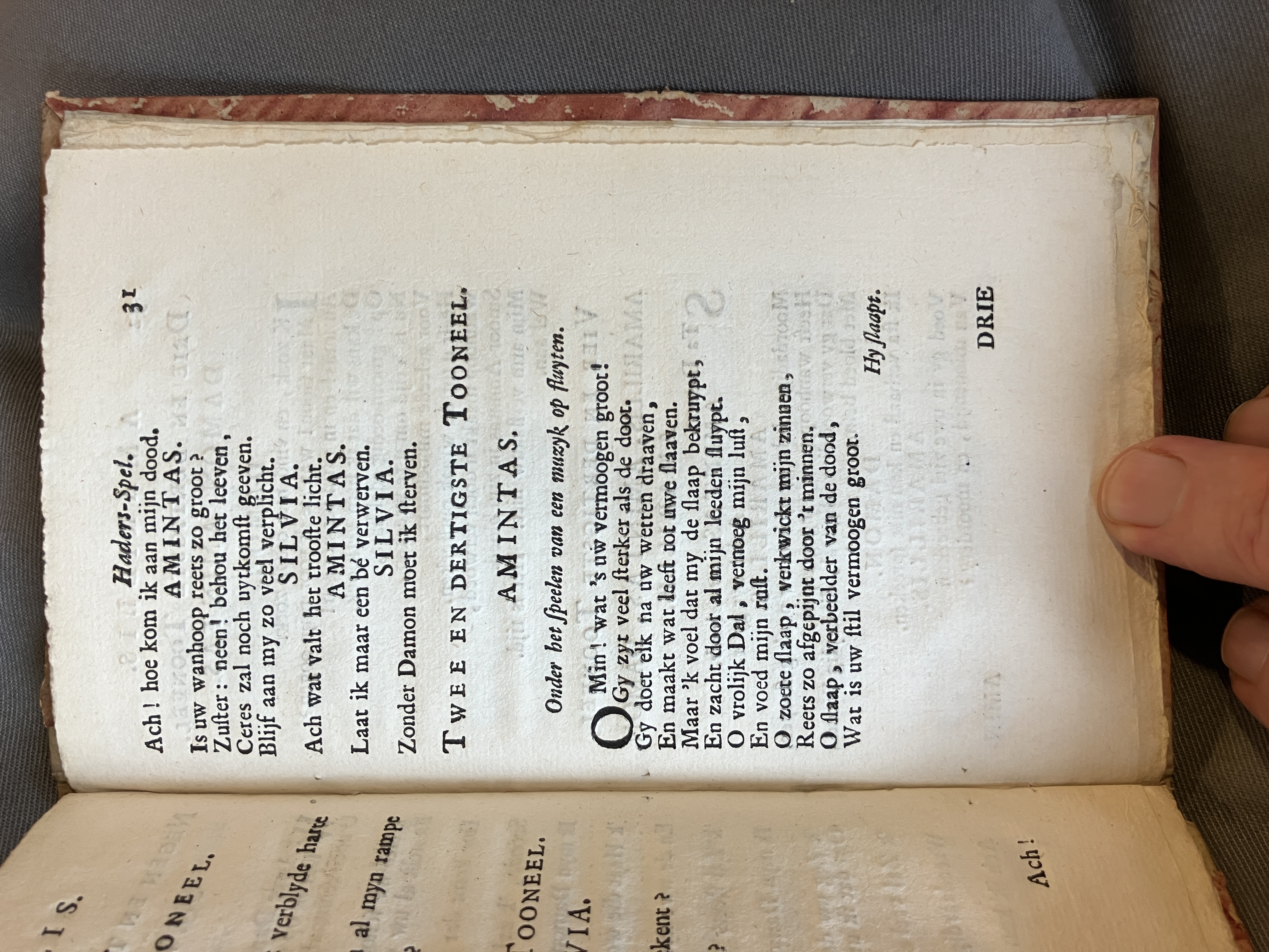LingelbachAmarillis1713ca31