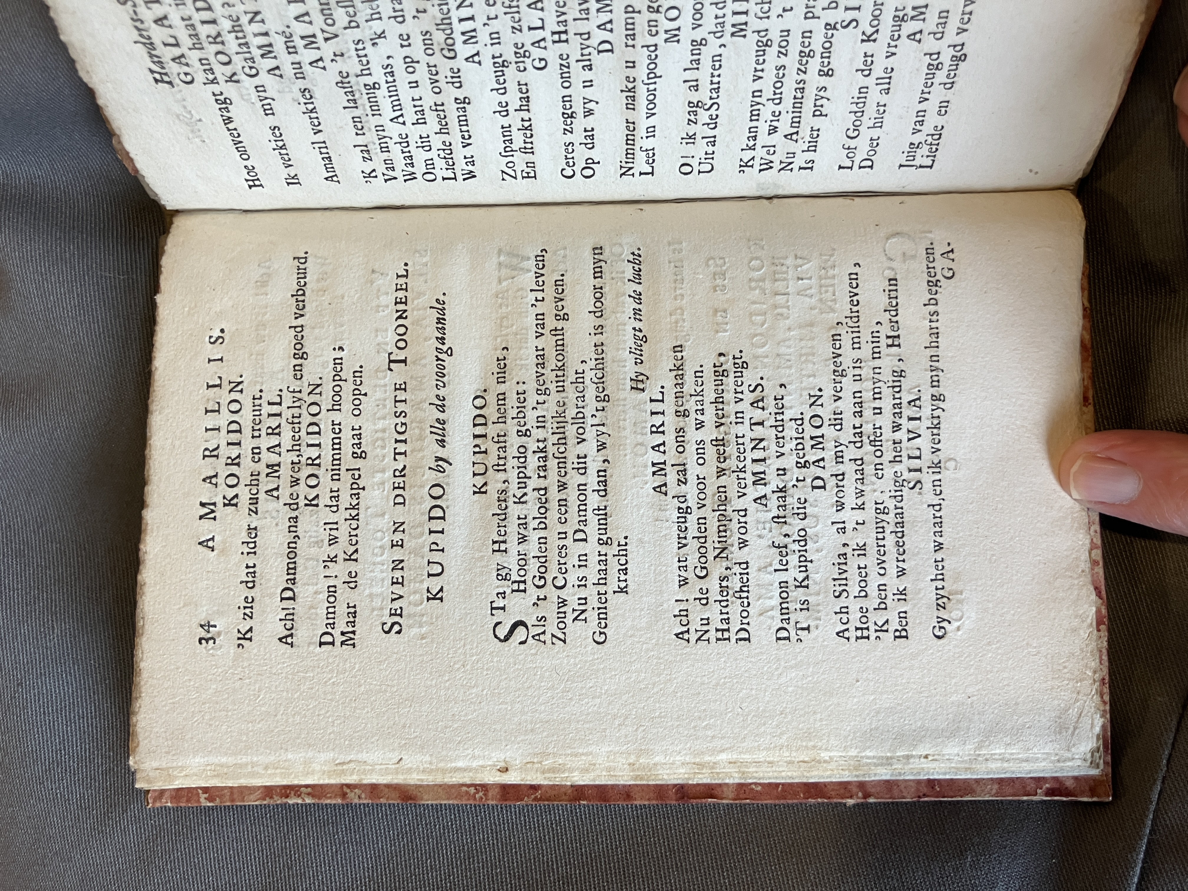 LingelbachAmarillis1713ca34
