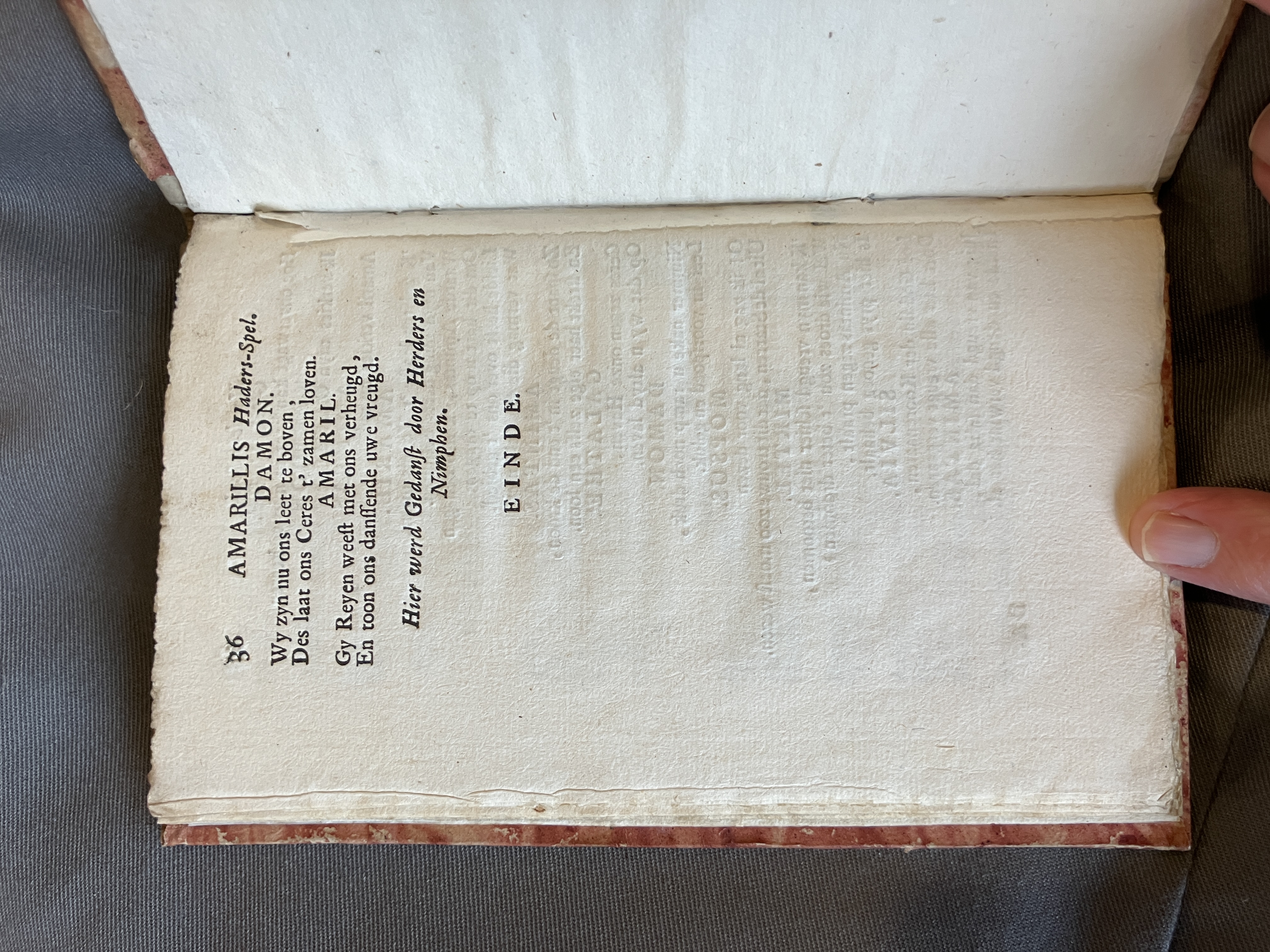 LingelbachAmarillis1713ca36