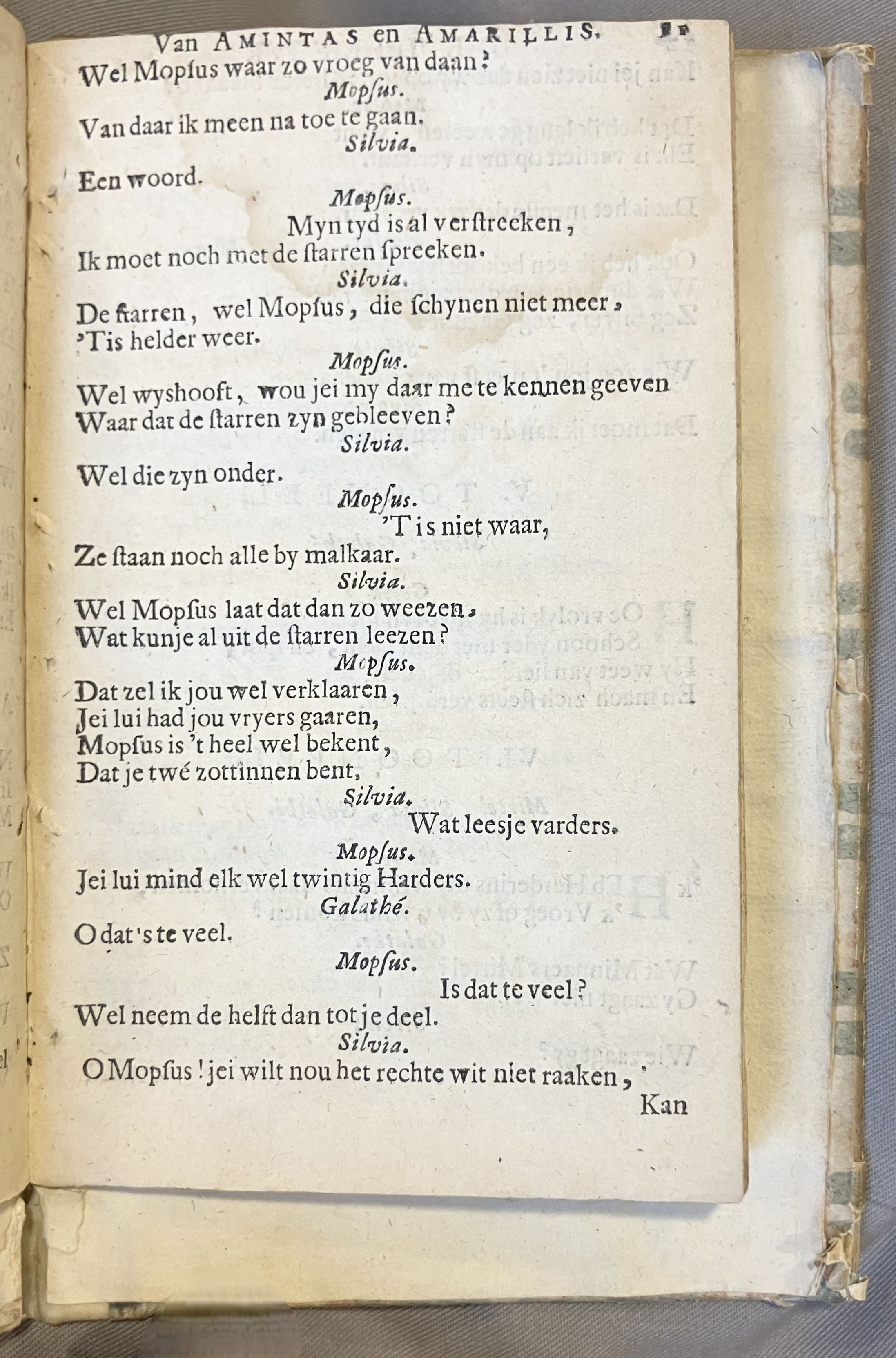 LingelbachAmintasAmarillis1686p11