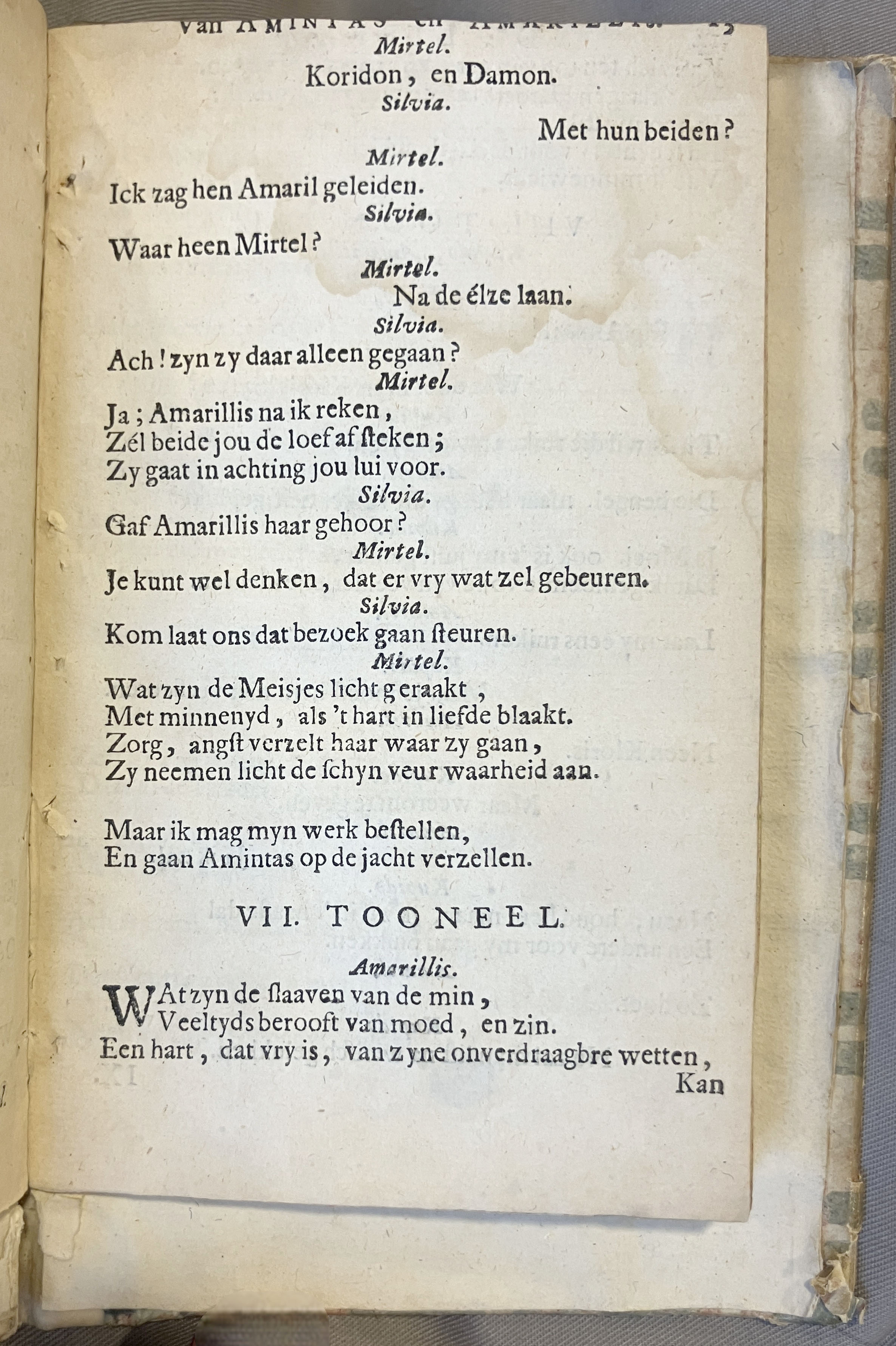 LingelbachAmintasAmarillis1686p13