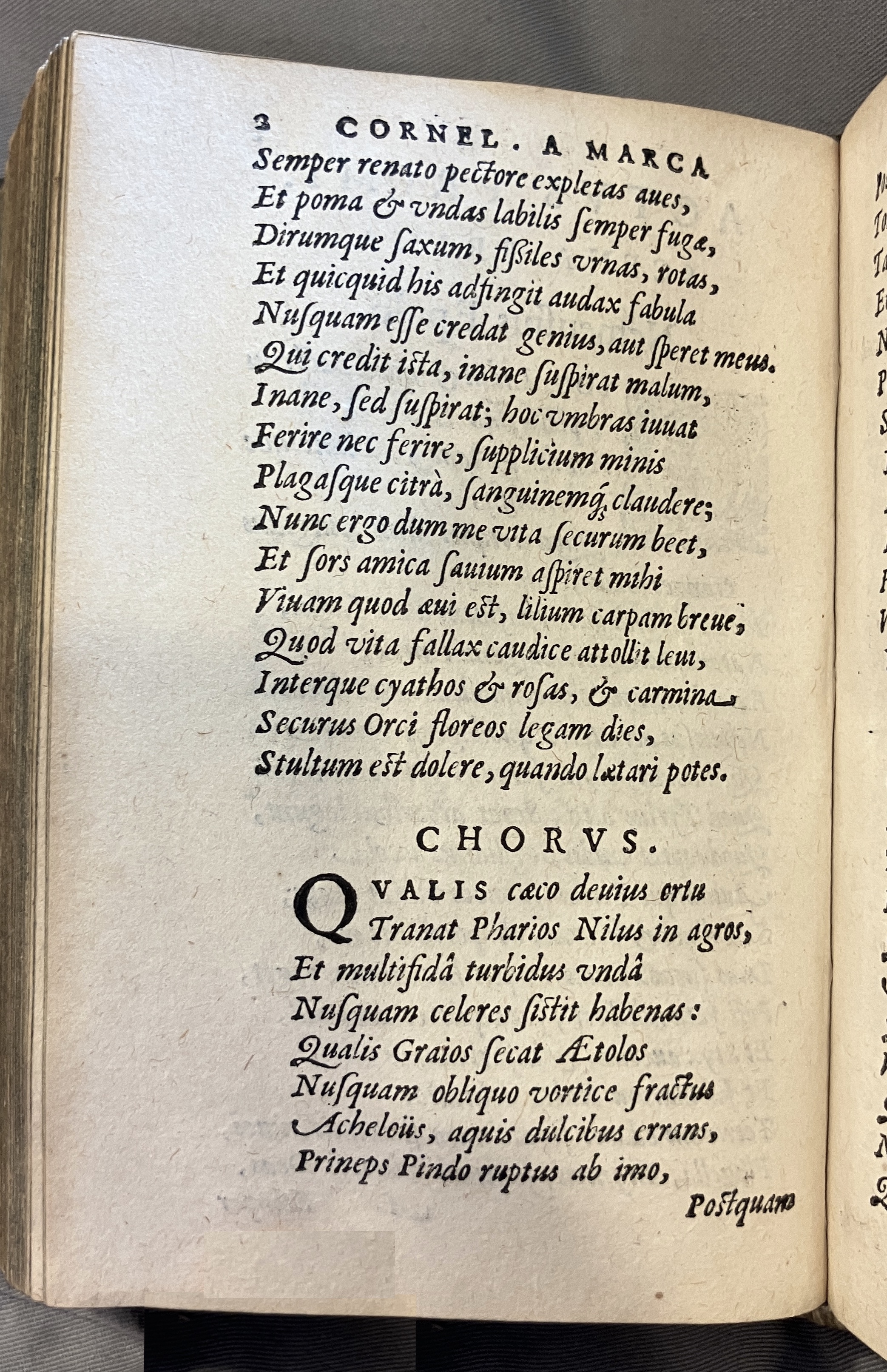 AMarcaOpera1613p002