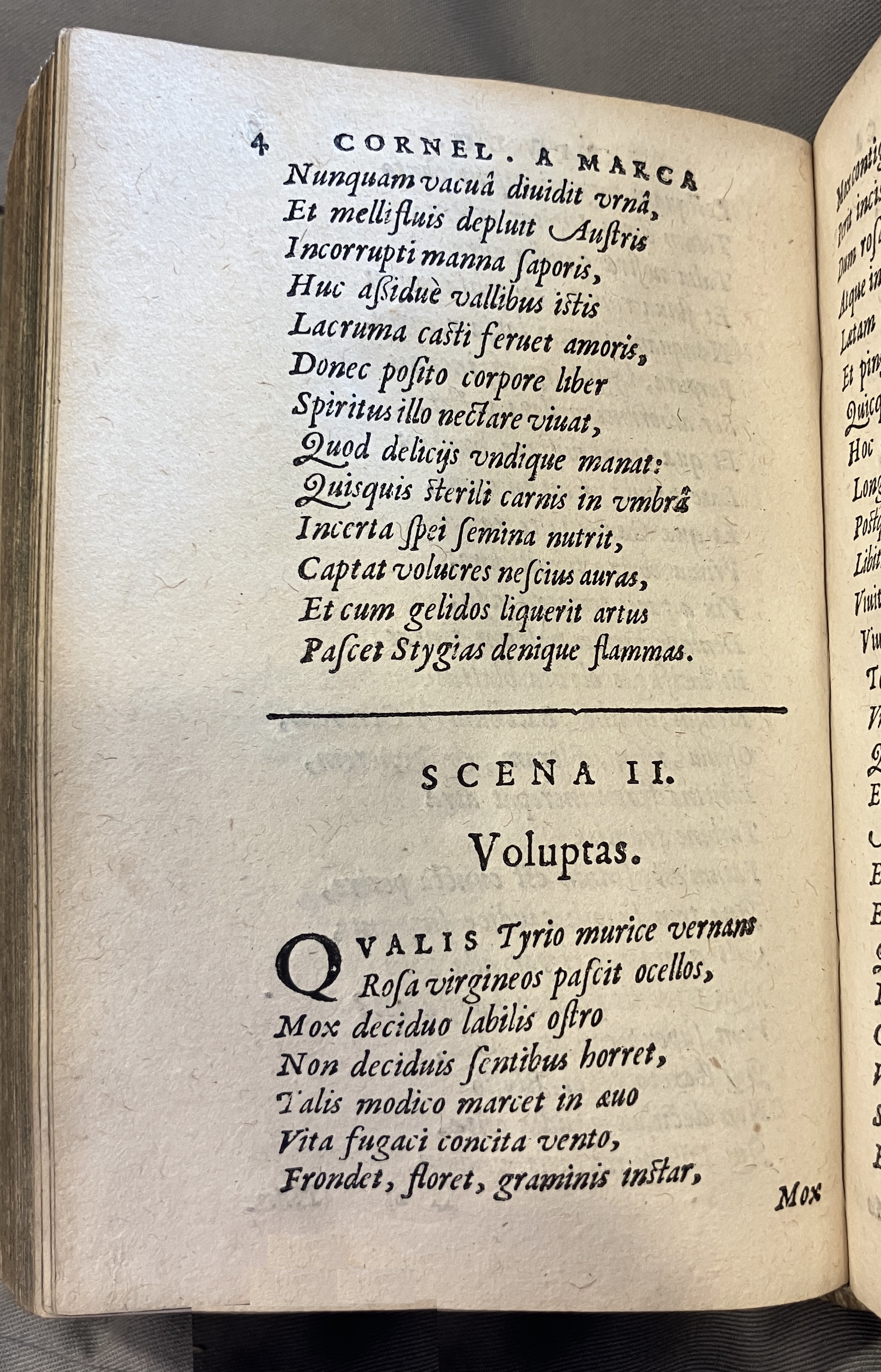 AMarcaOpera1613p004