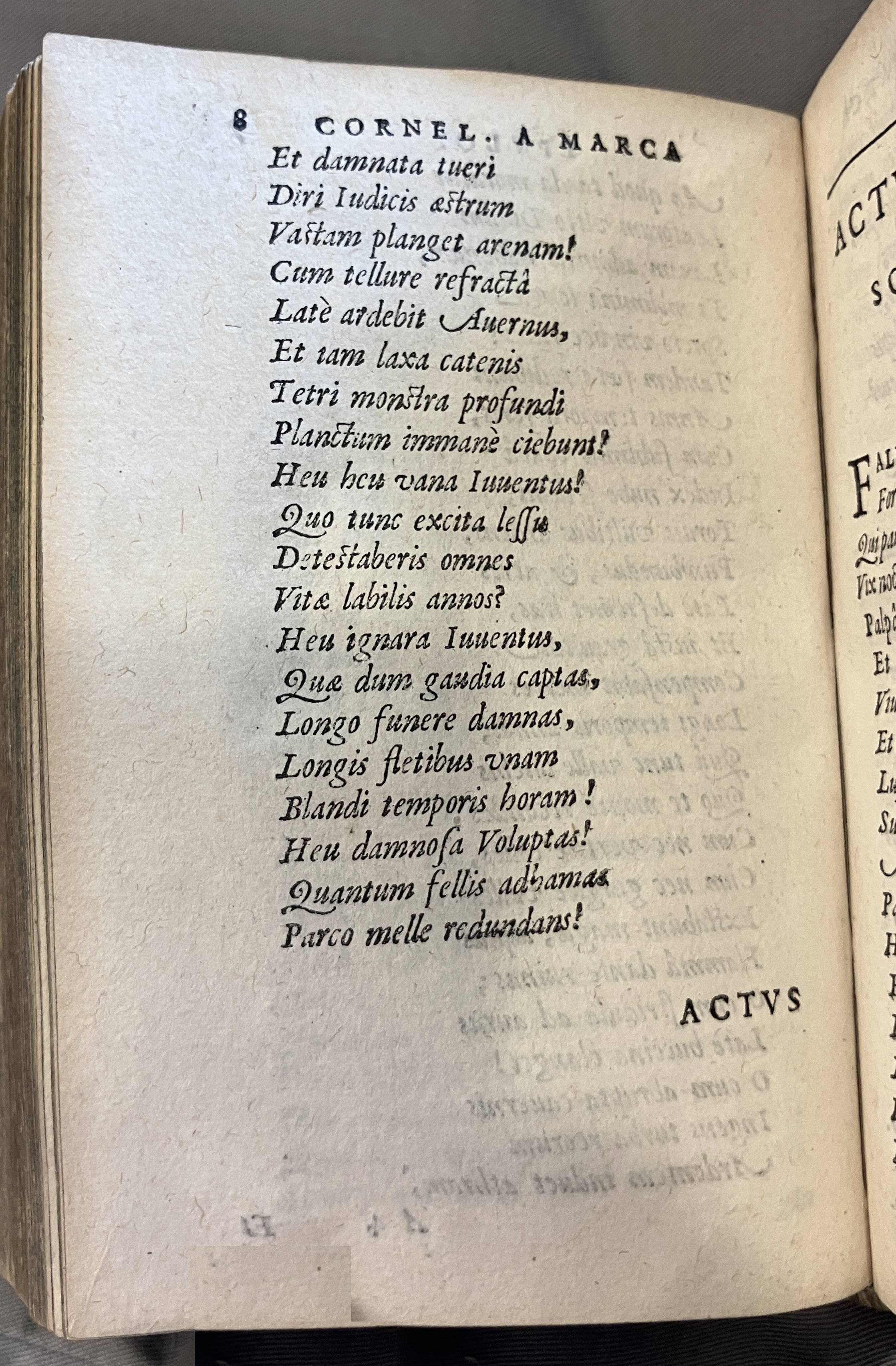 AMarcaOpera1613p008