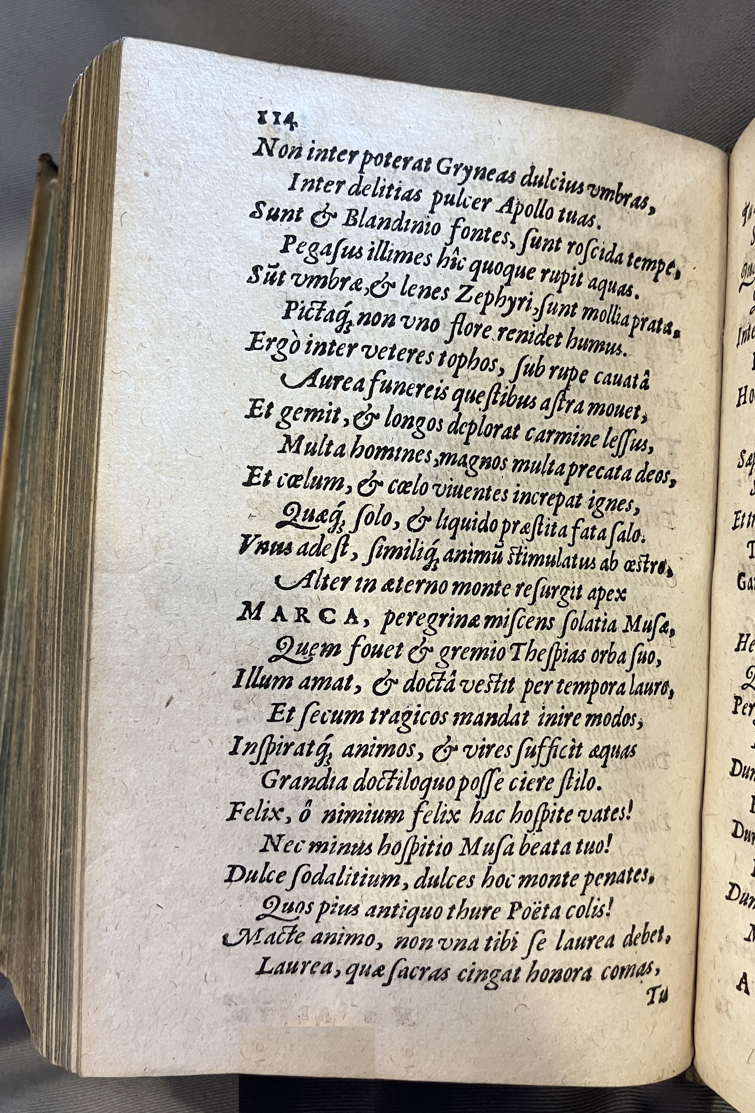 AMarcaOpera1613p114