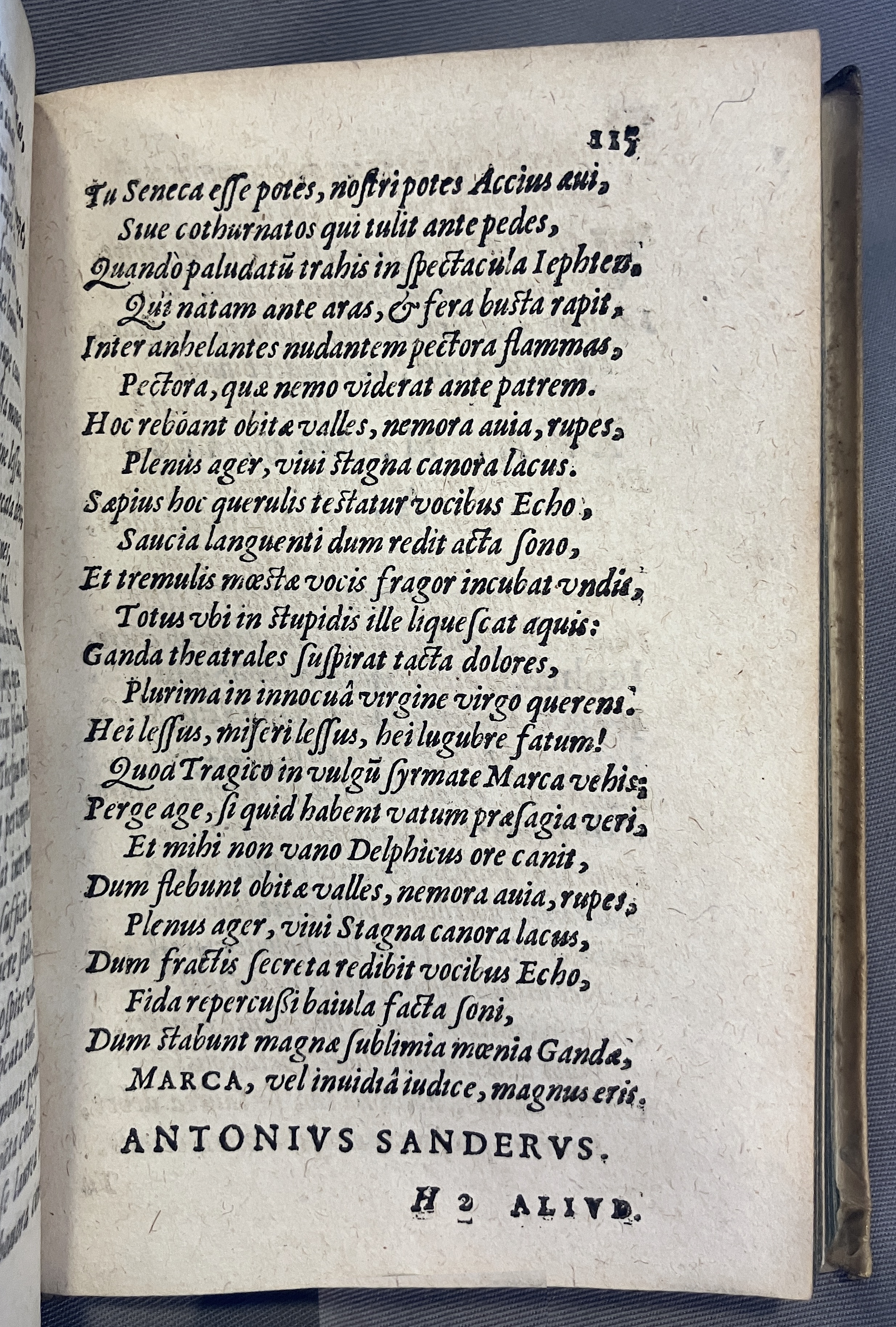 AMarcaOpera1613p115