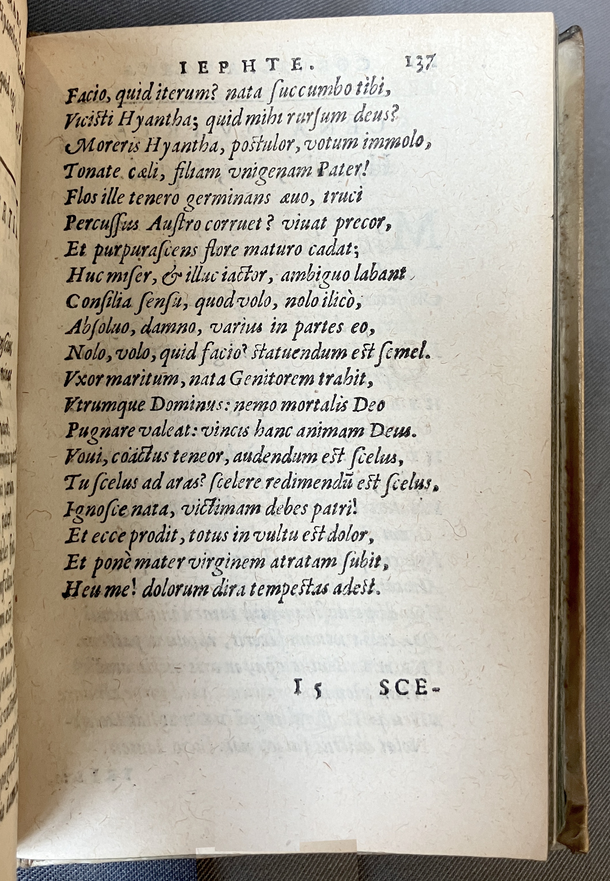 AMarcaOpera1613p137