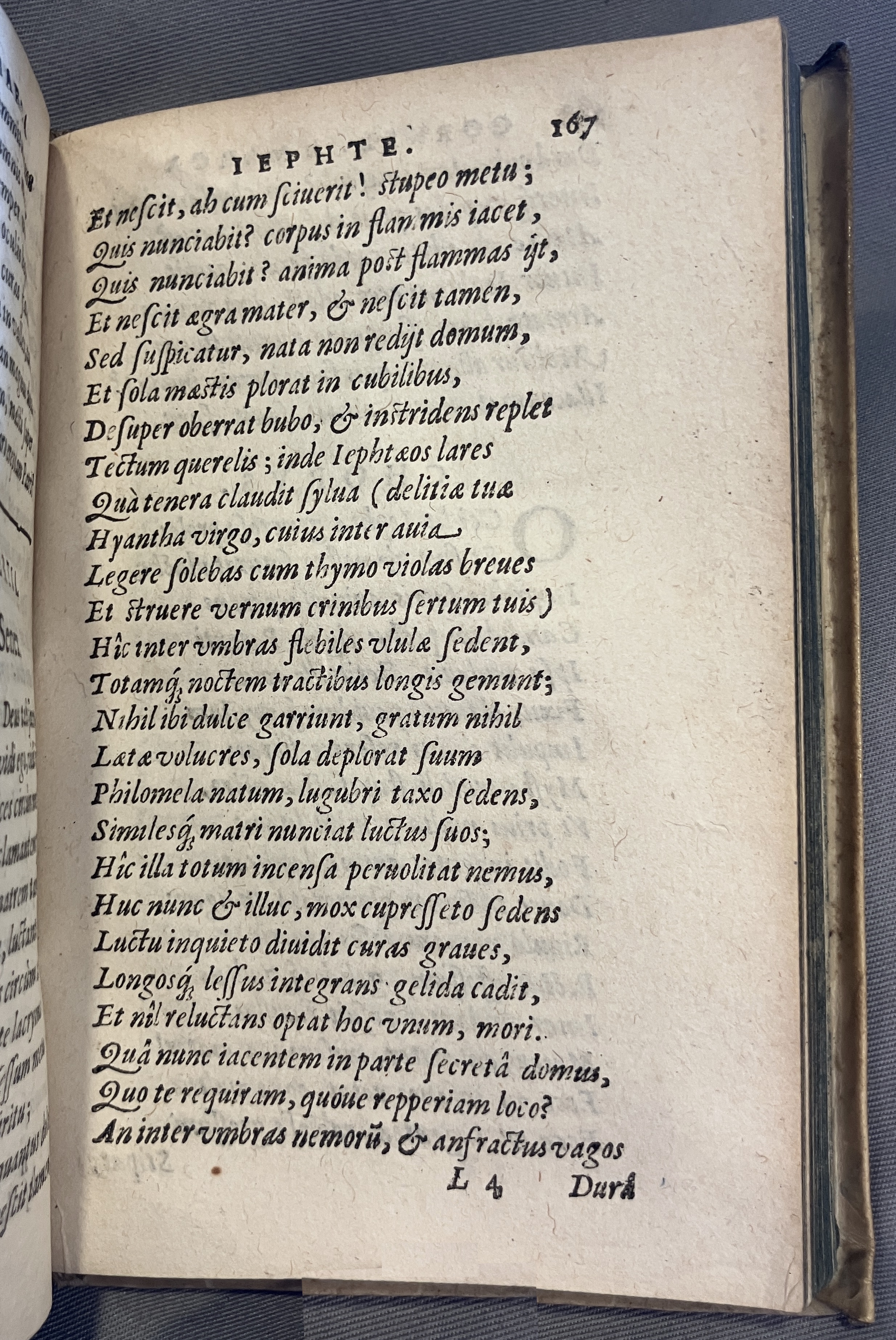 AMarcaOpera1613p167