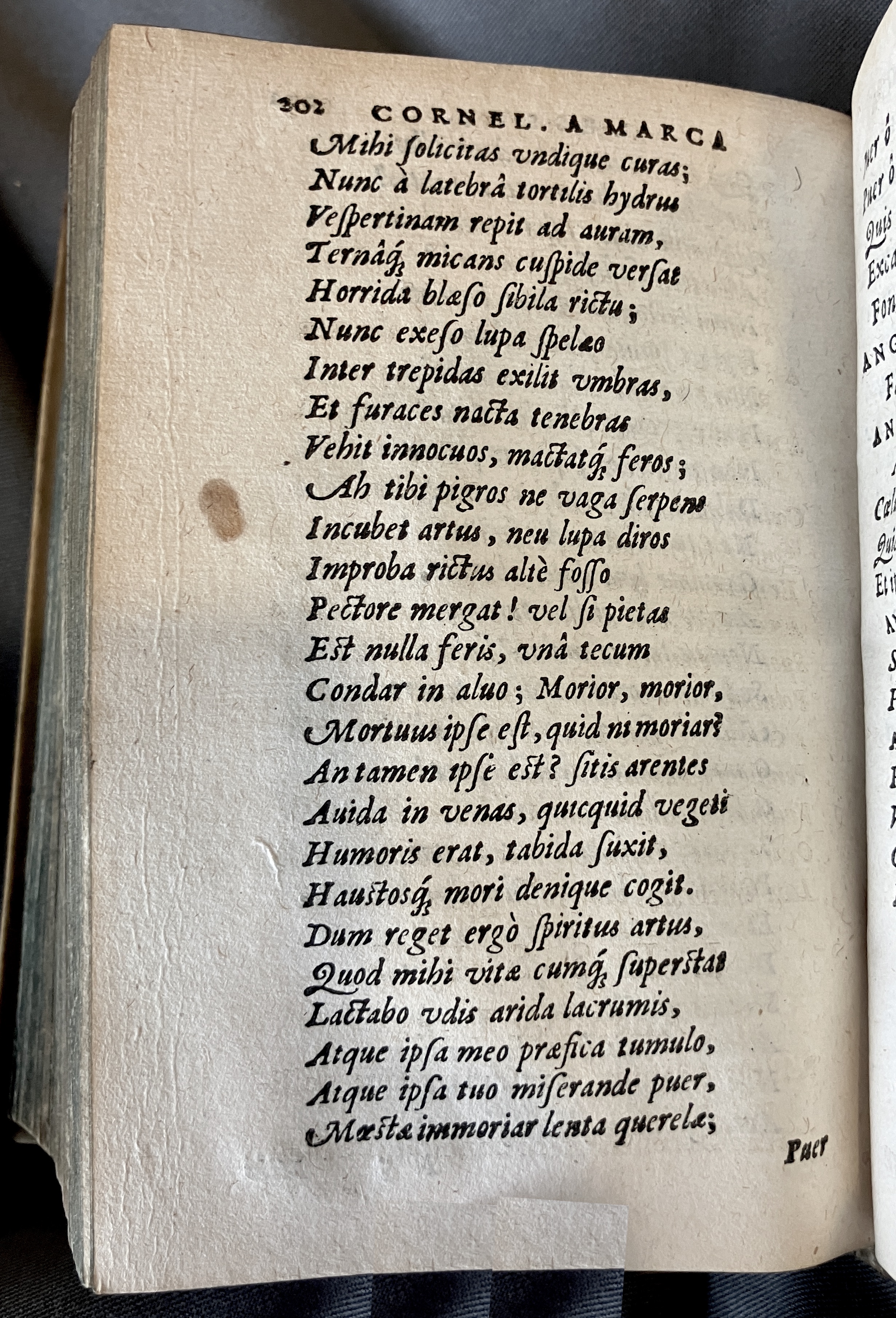 AMarcaOpera1613p202