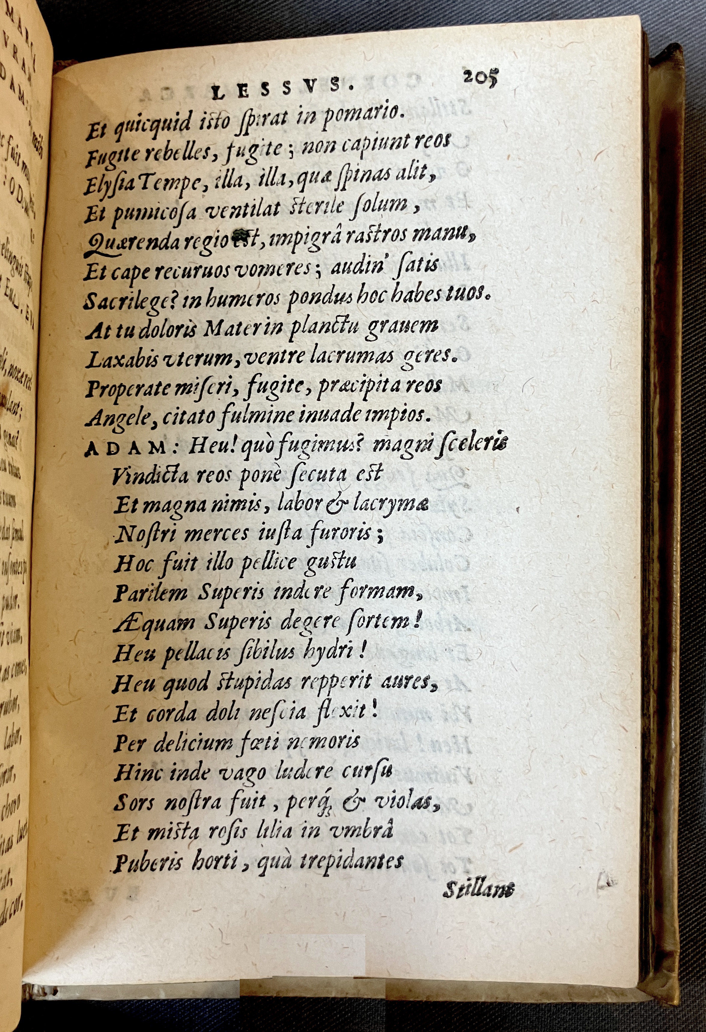 AMarcaOpera1613p205