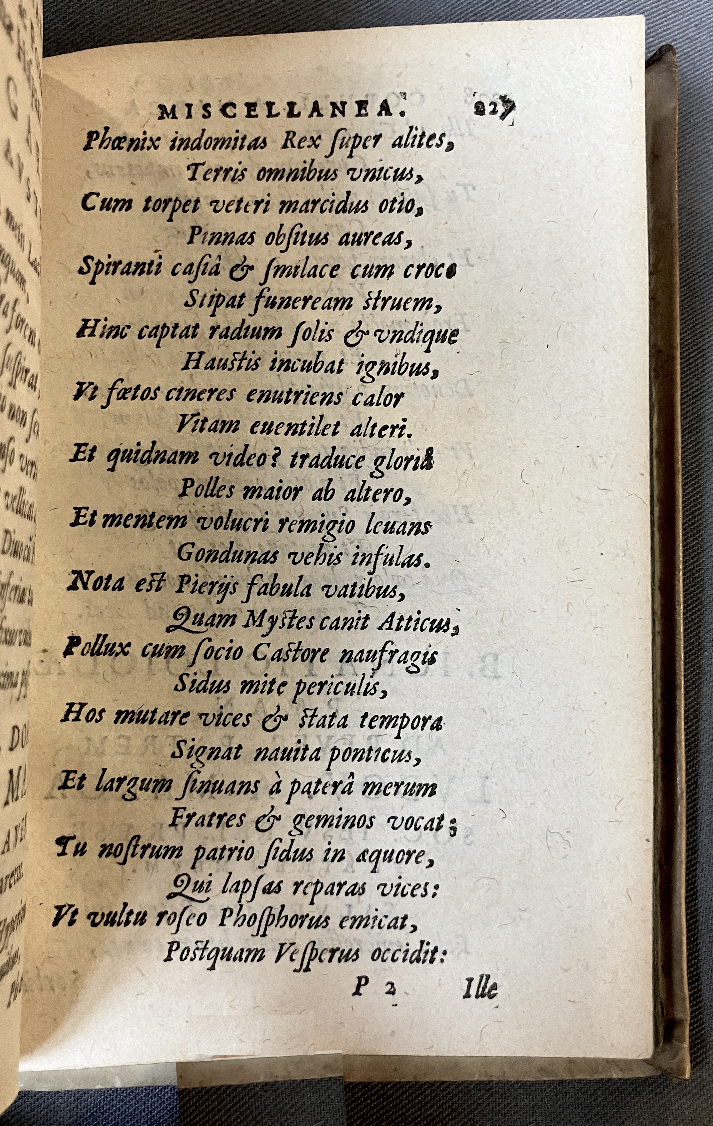 AMarcaOpera1613p227