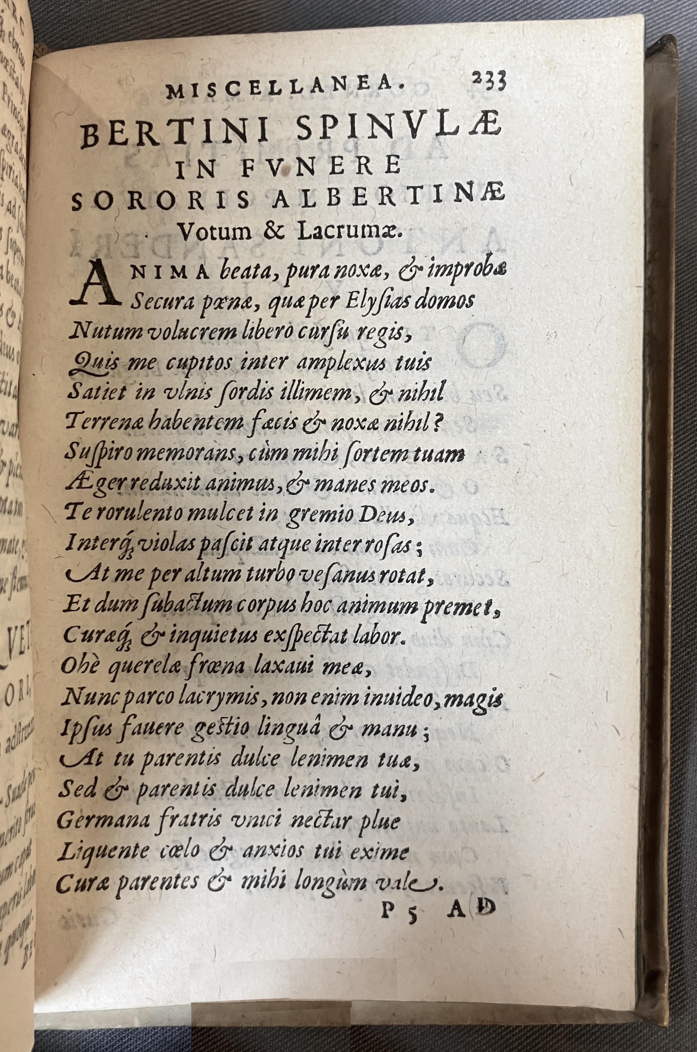 AMarcaOpera1613p233