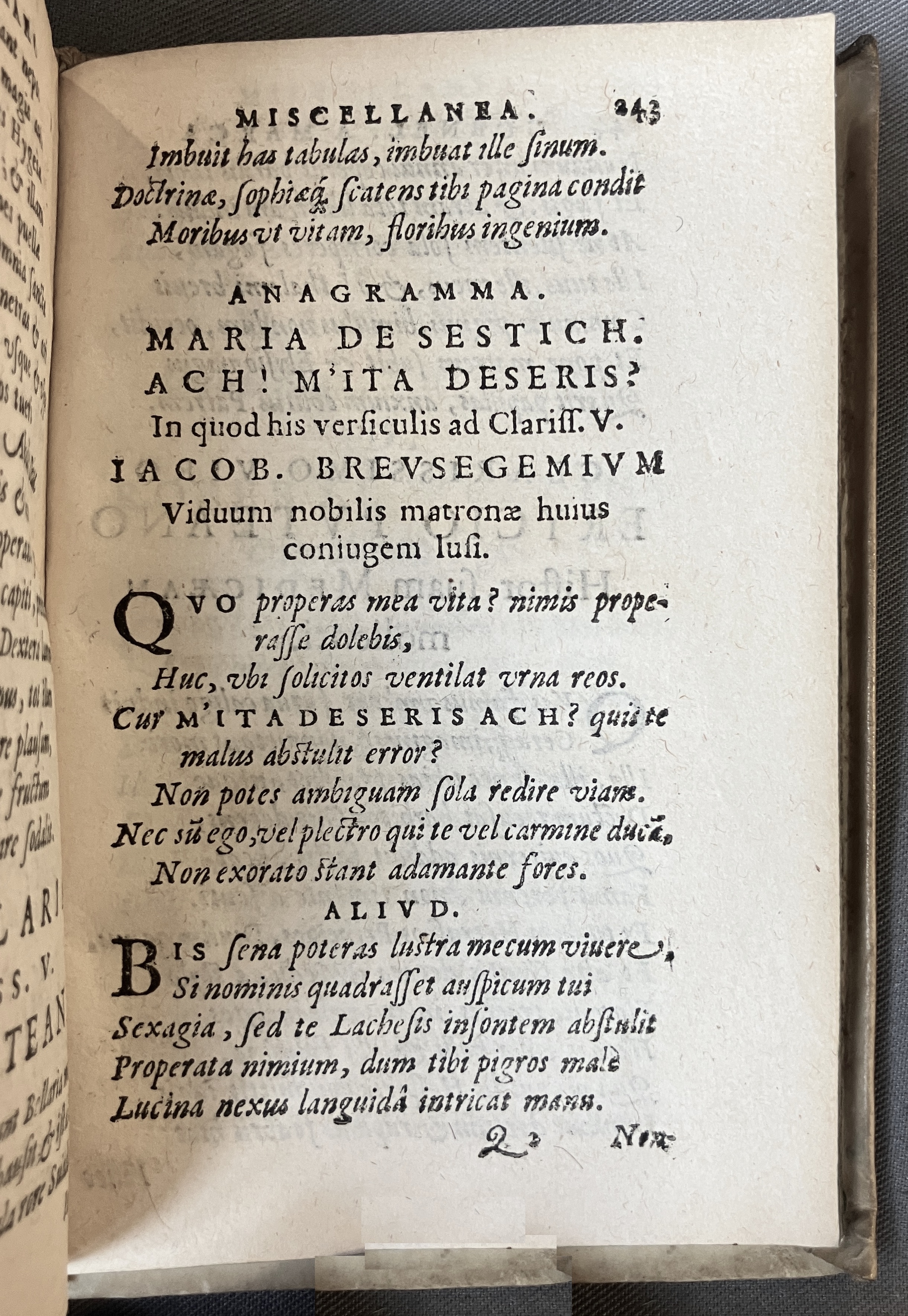 AMarcaOpera1613p243