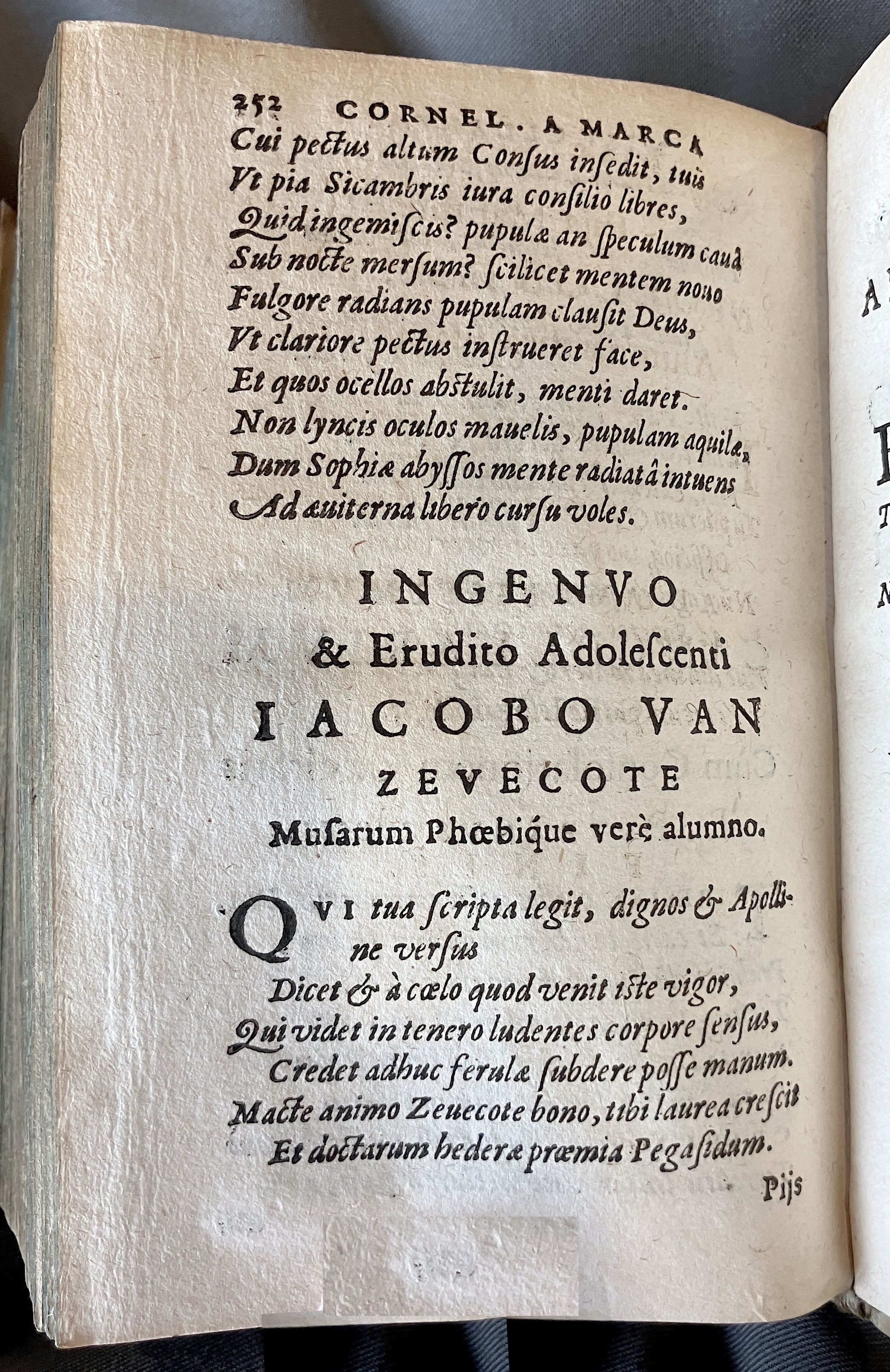 AMarcaOpera1613p252