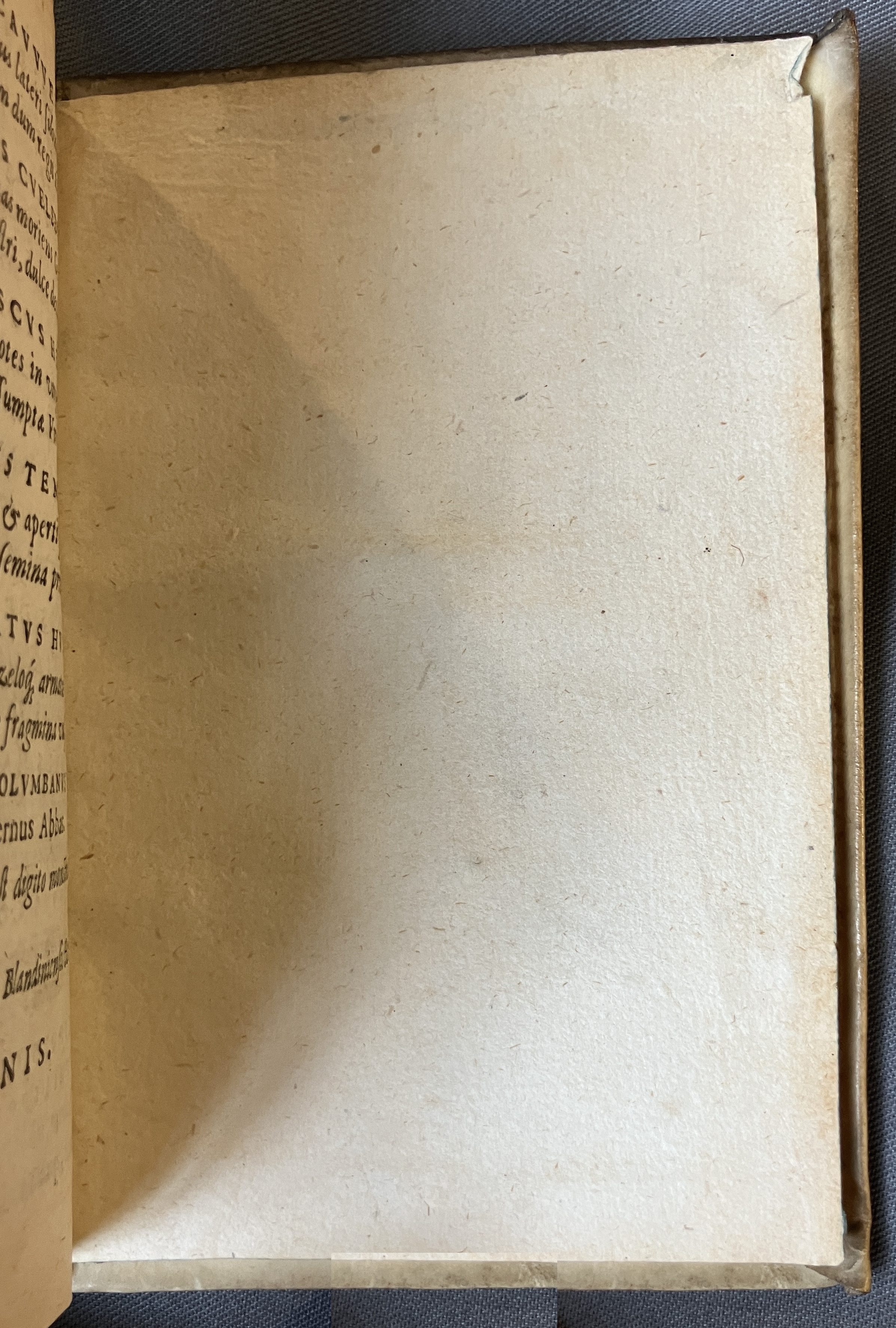 AMarcaOpera1613p263