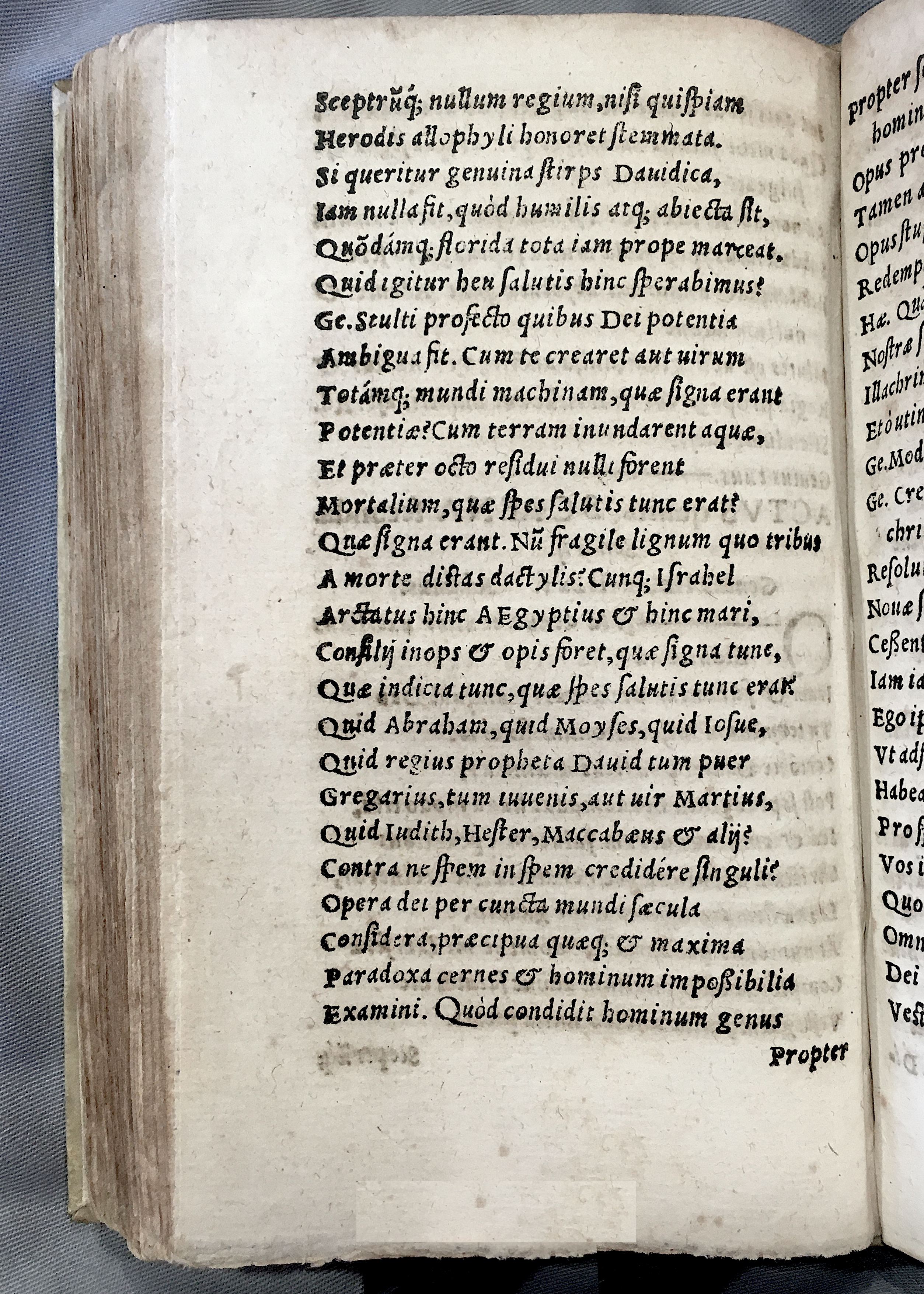 MacropediusAdamus1552p96