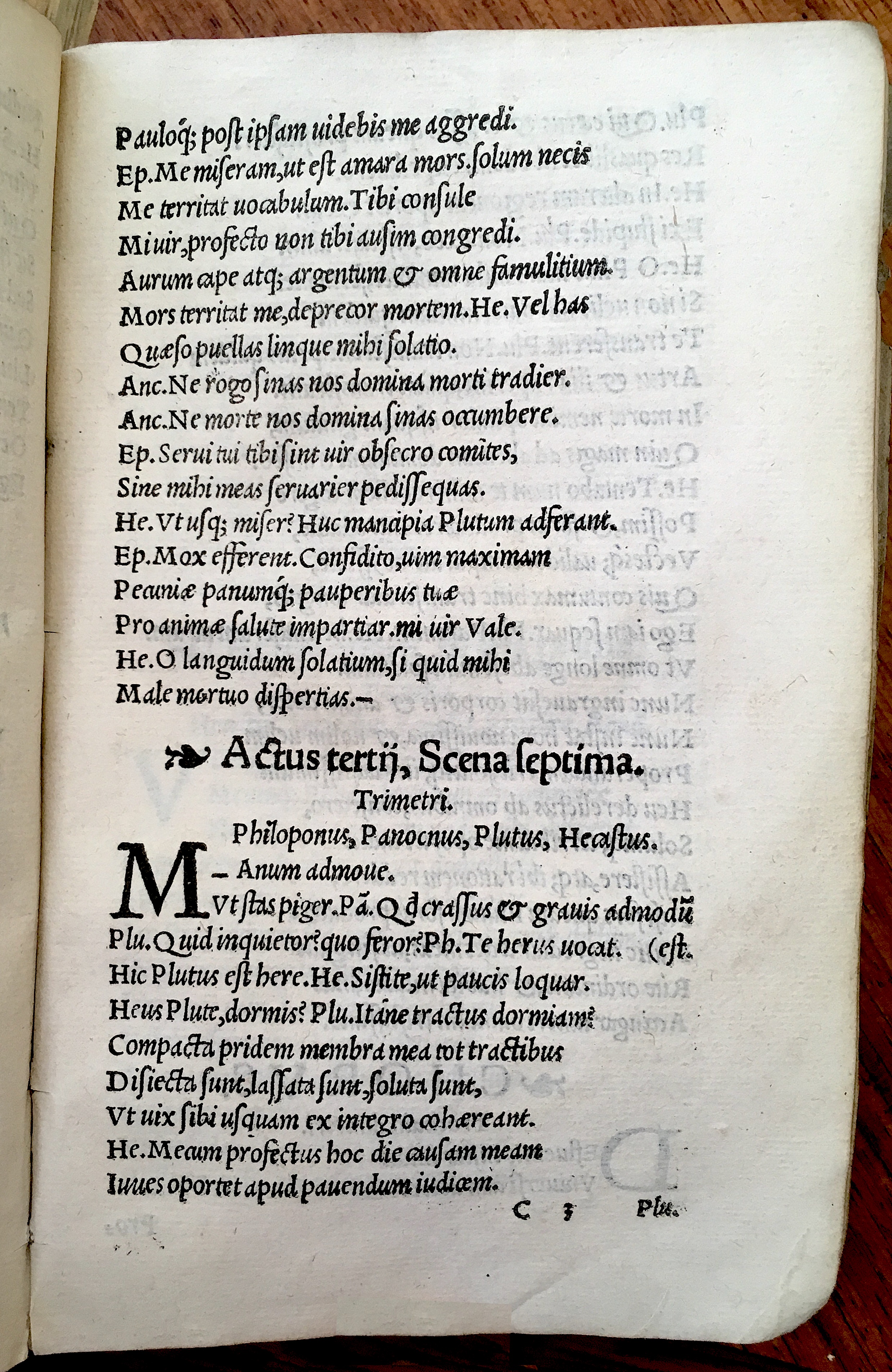 MacropediusHecastus1539p37.jpg
