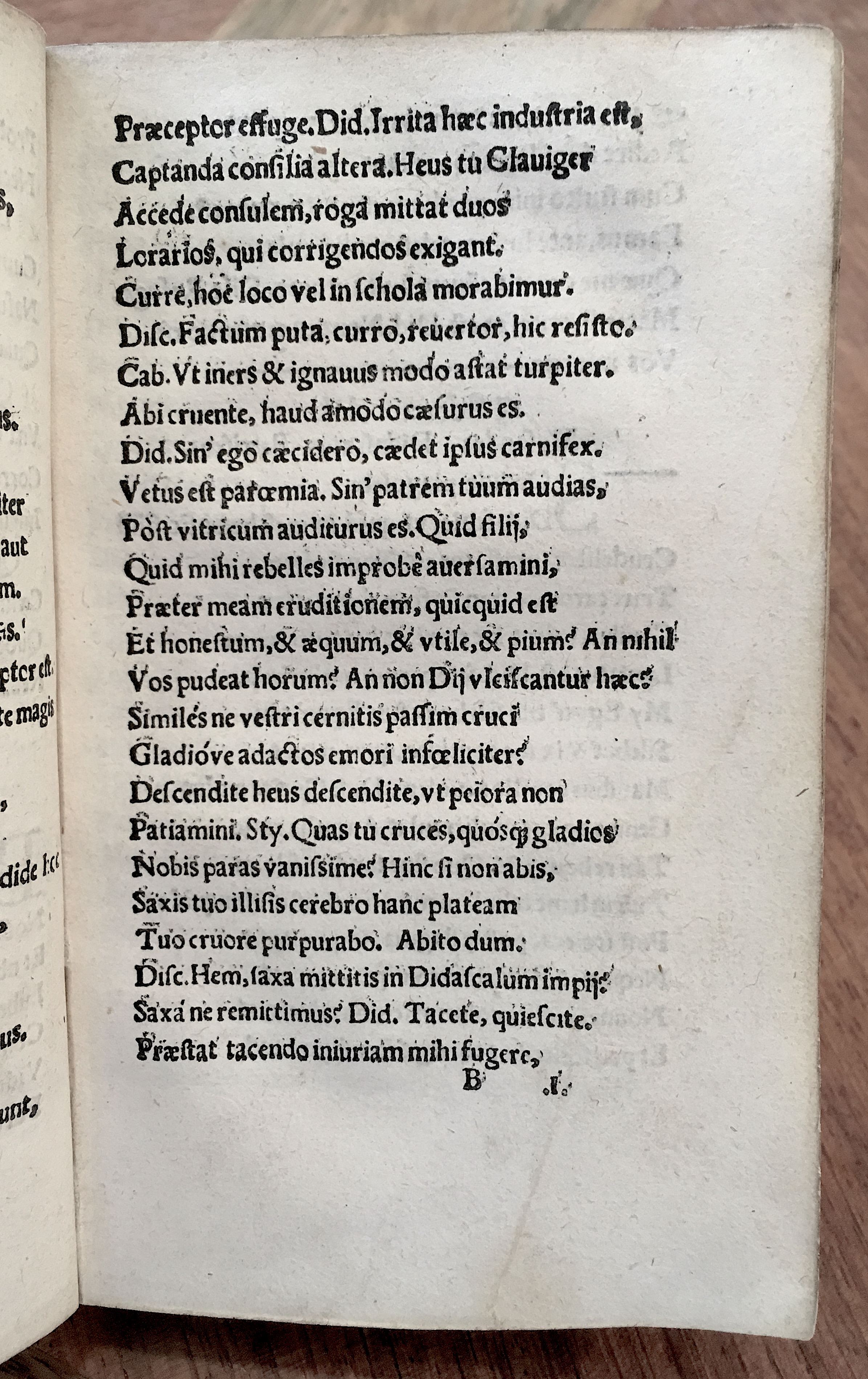 MacropediusPetriscus1536p17