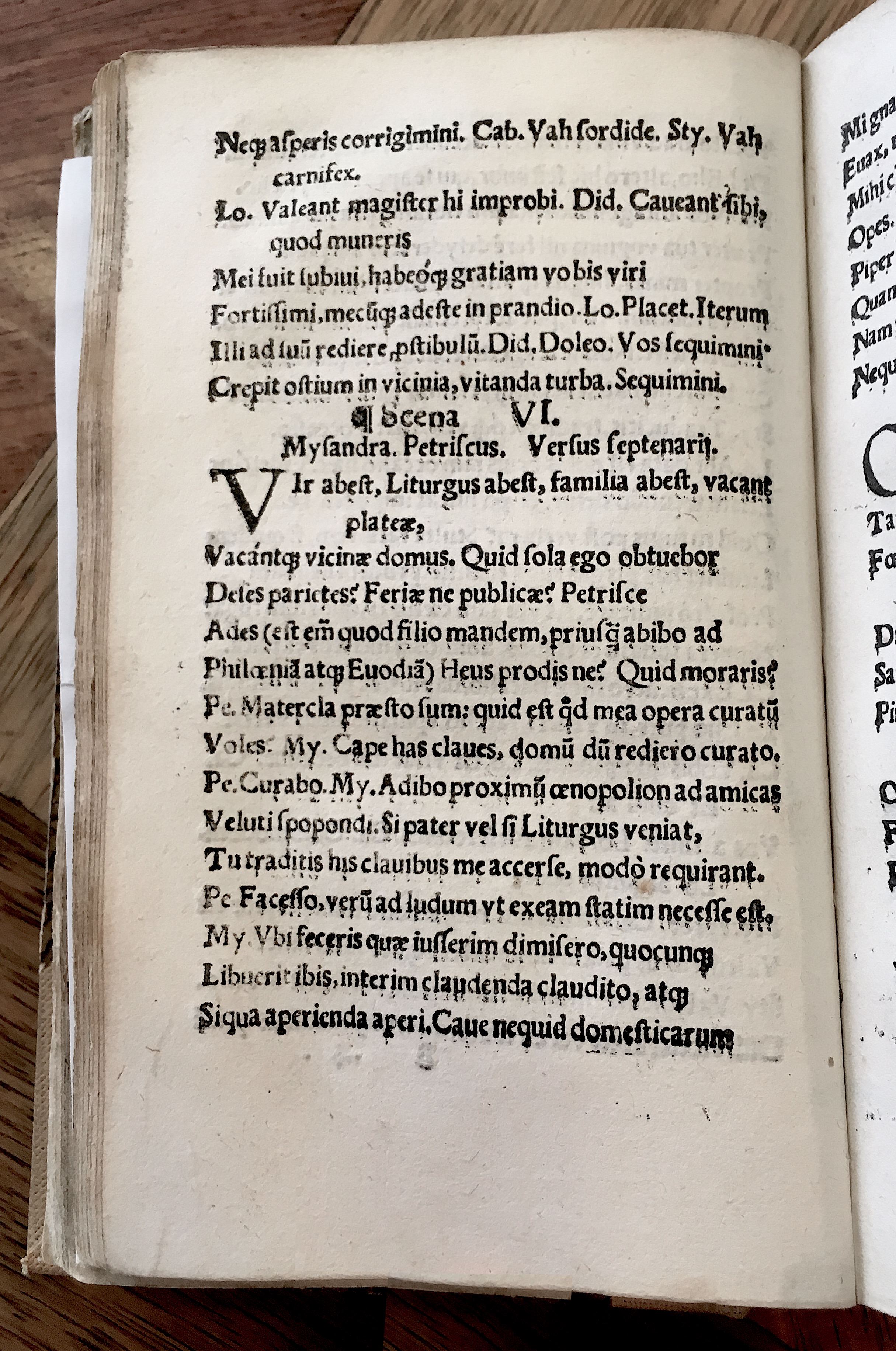 MacropediusPetriscus1536p24