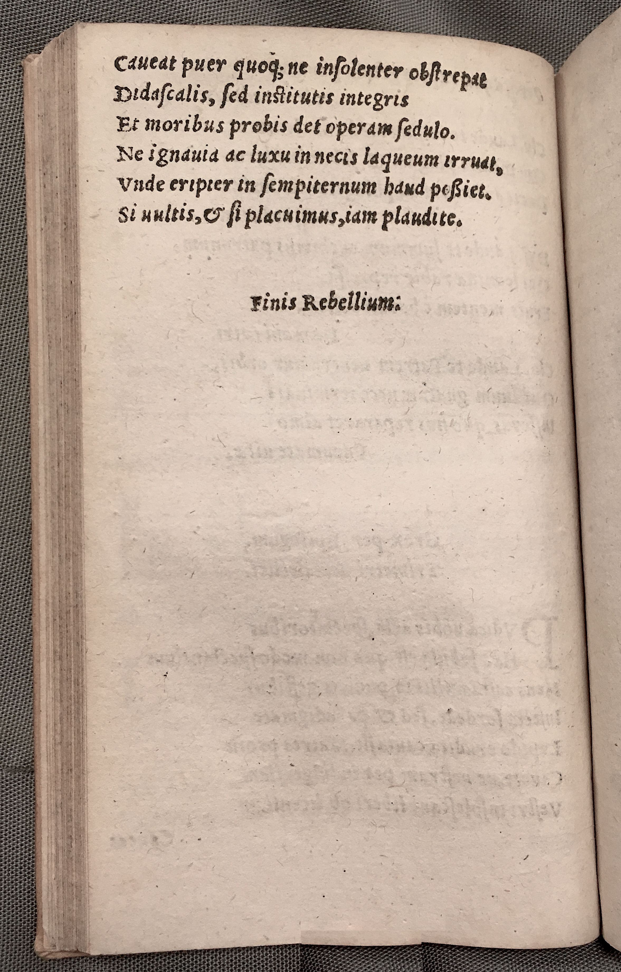 MacropediusRebelles1553p60