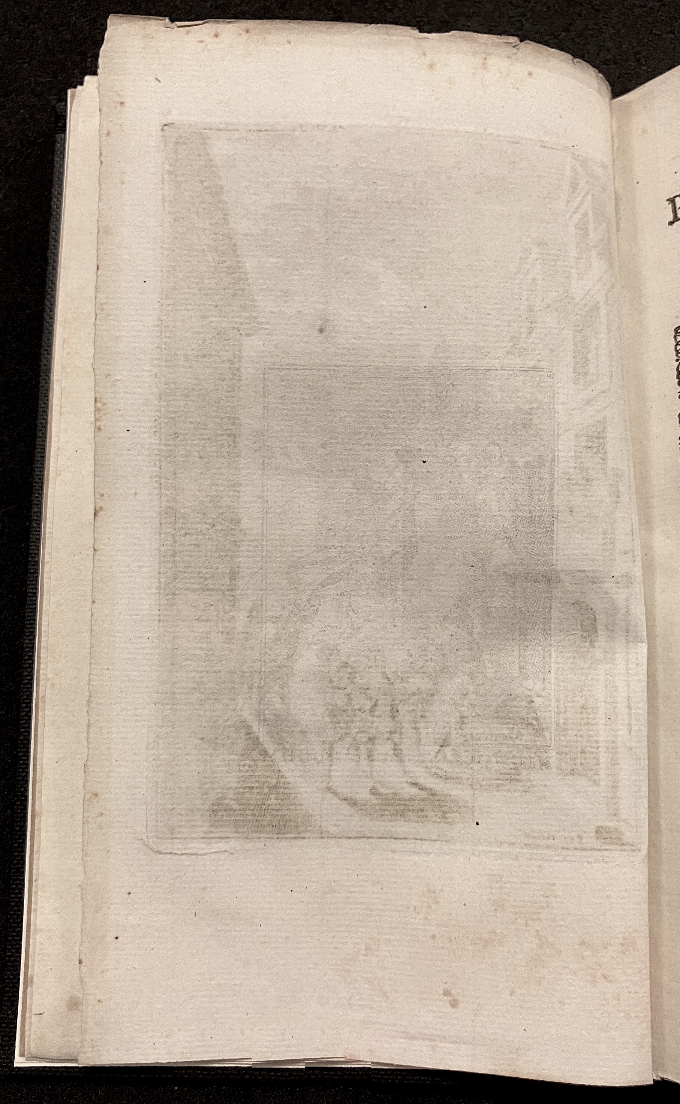 NVASerenade1712a02
