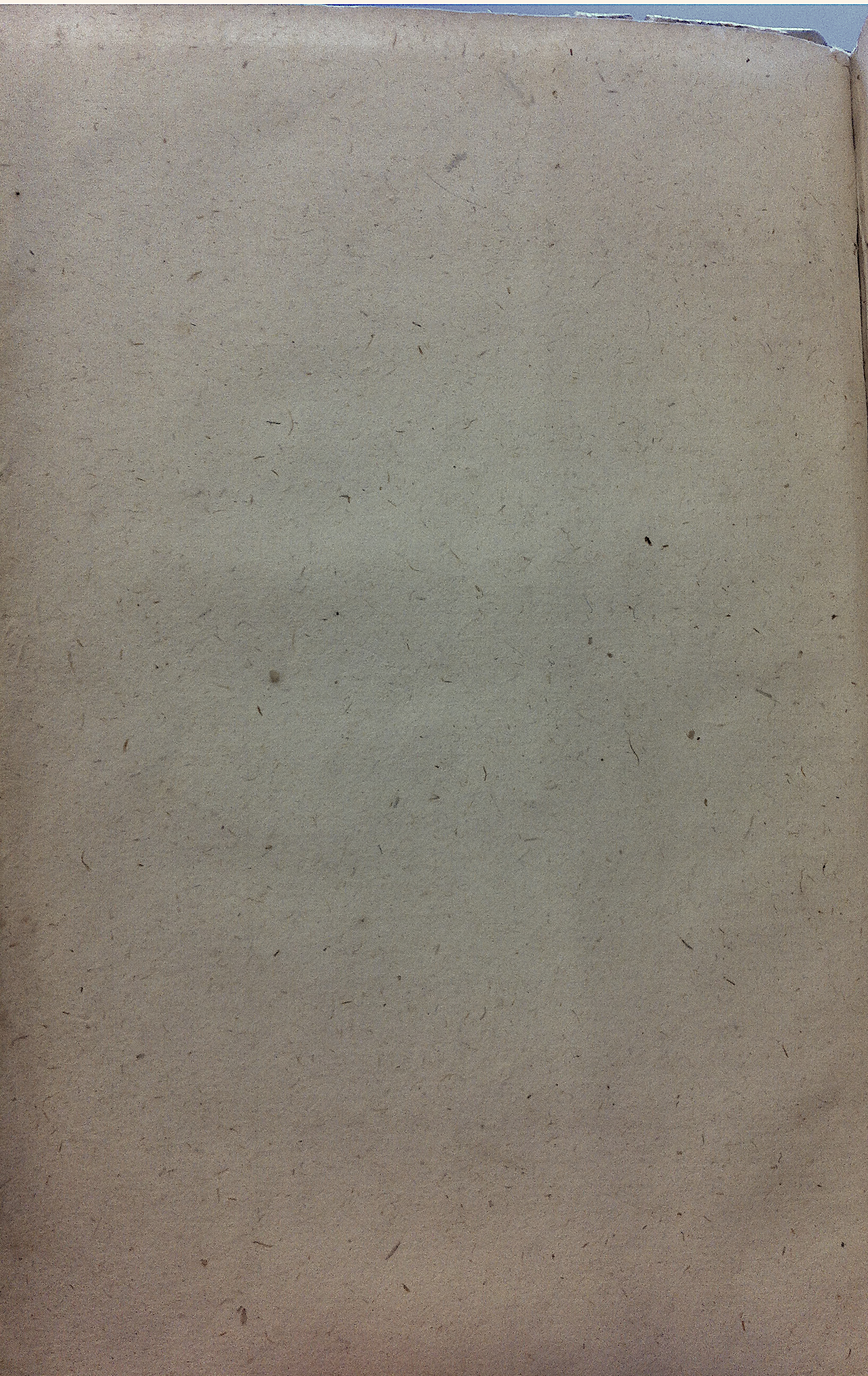 NVAGeschaakteBruid169002.jpg