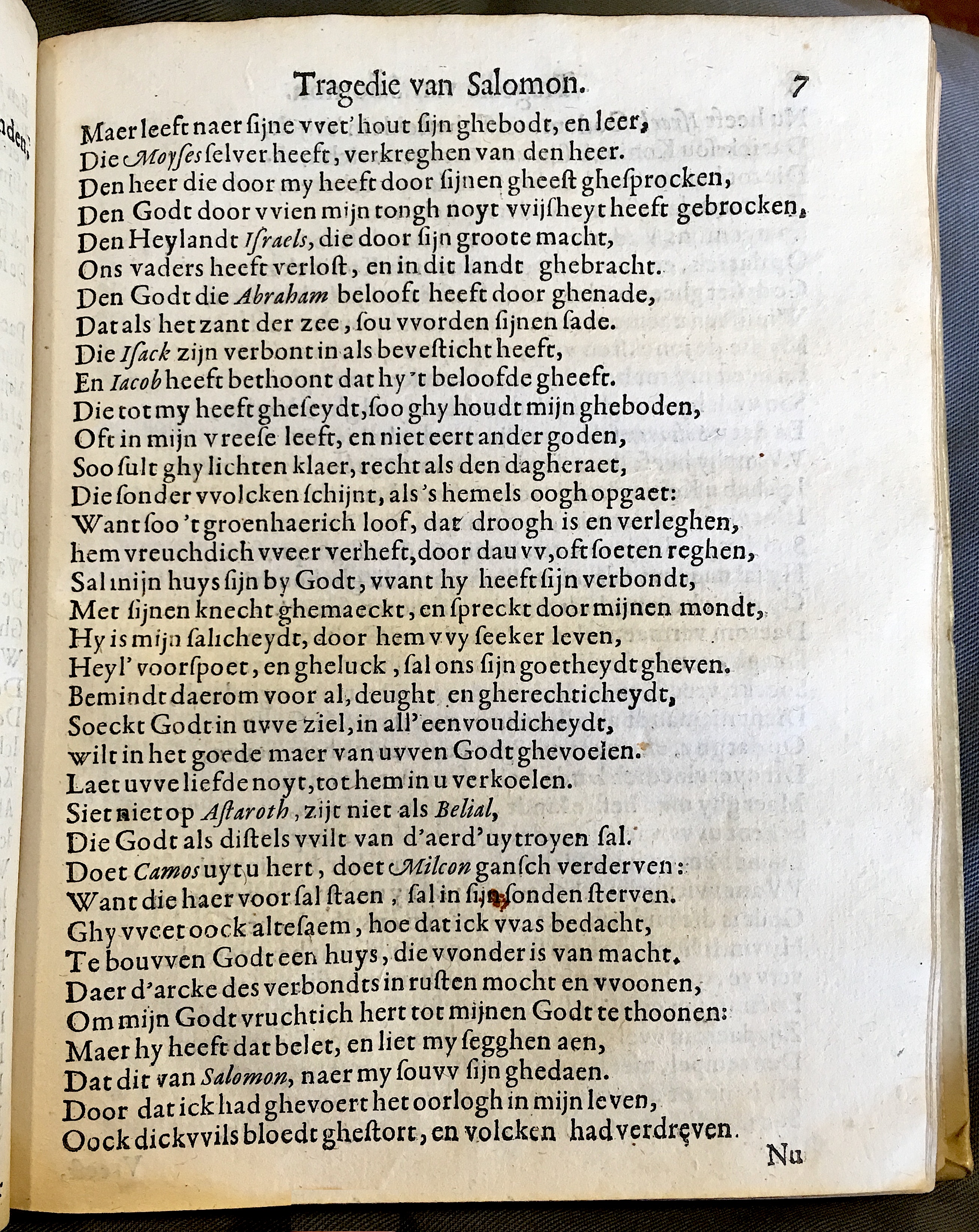 NieuwelandtSalomon1628p07.jpg