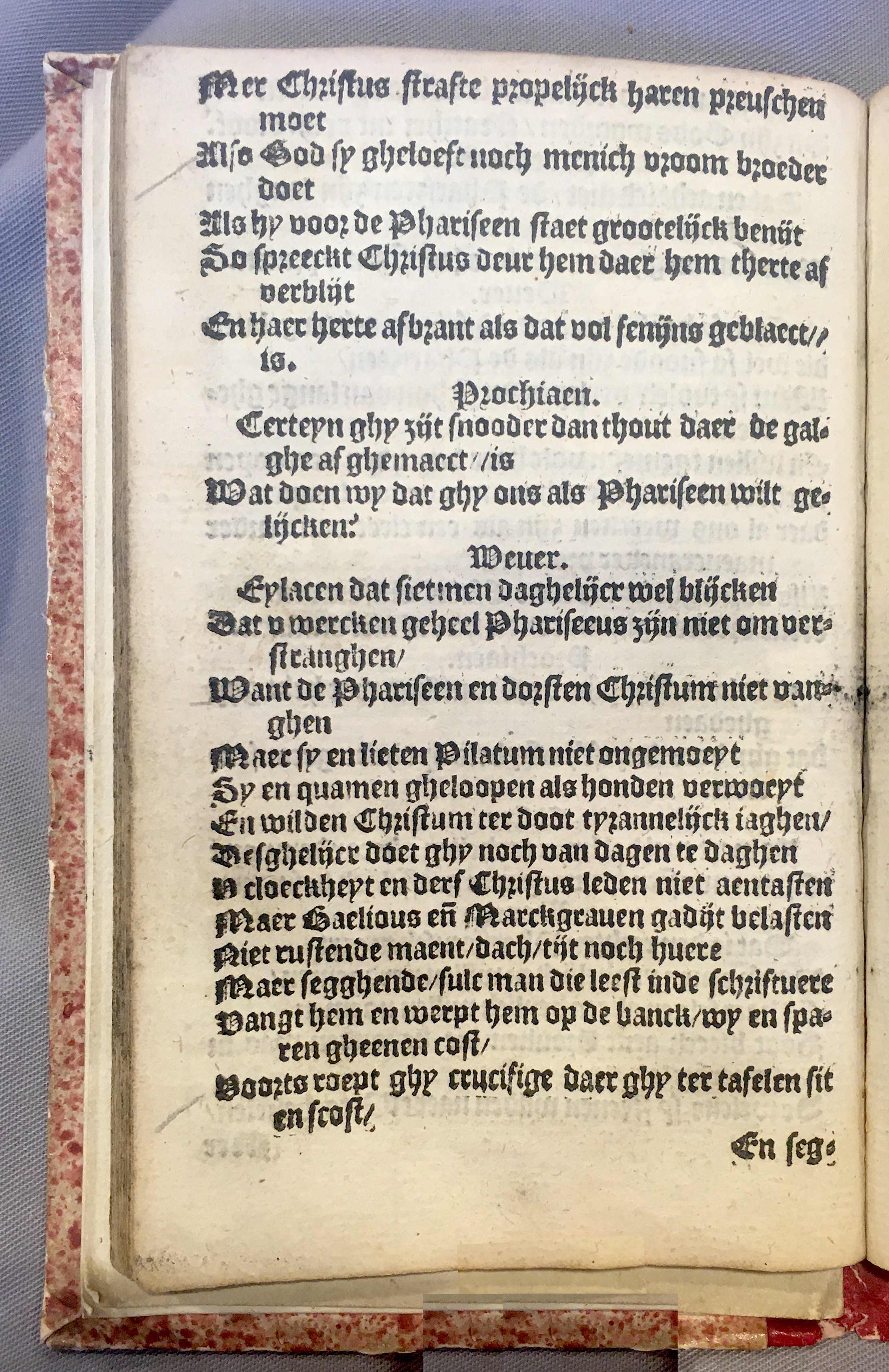 Prochiaen1578p048.jpg