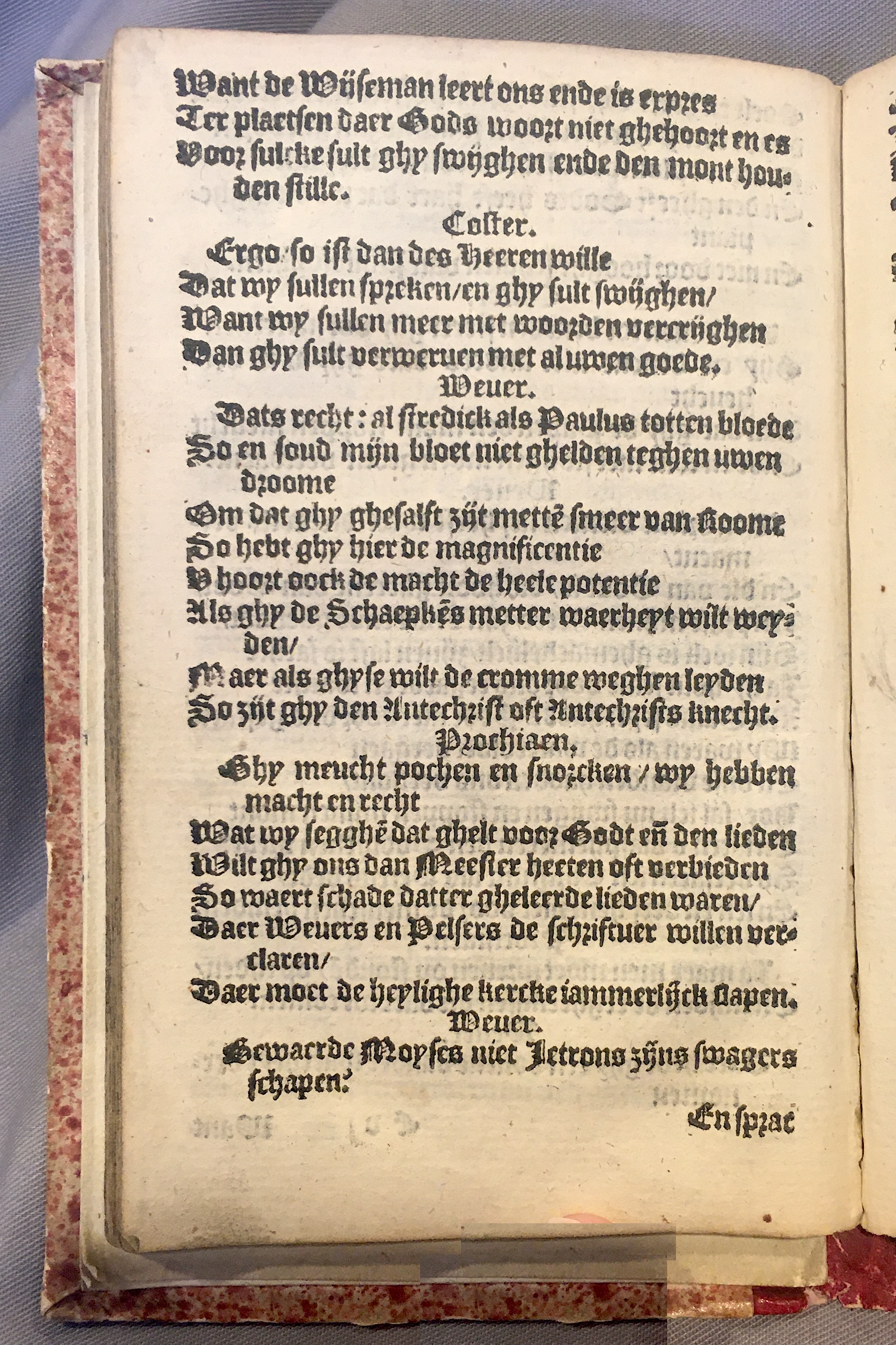 Prochiaen1578p074.jpg