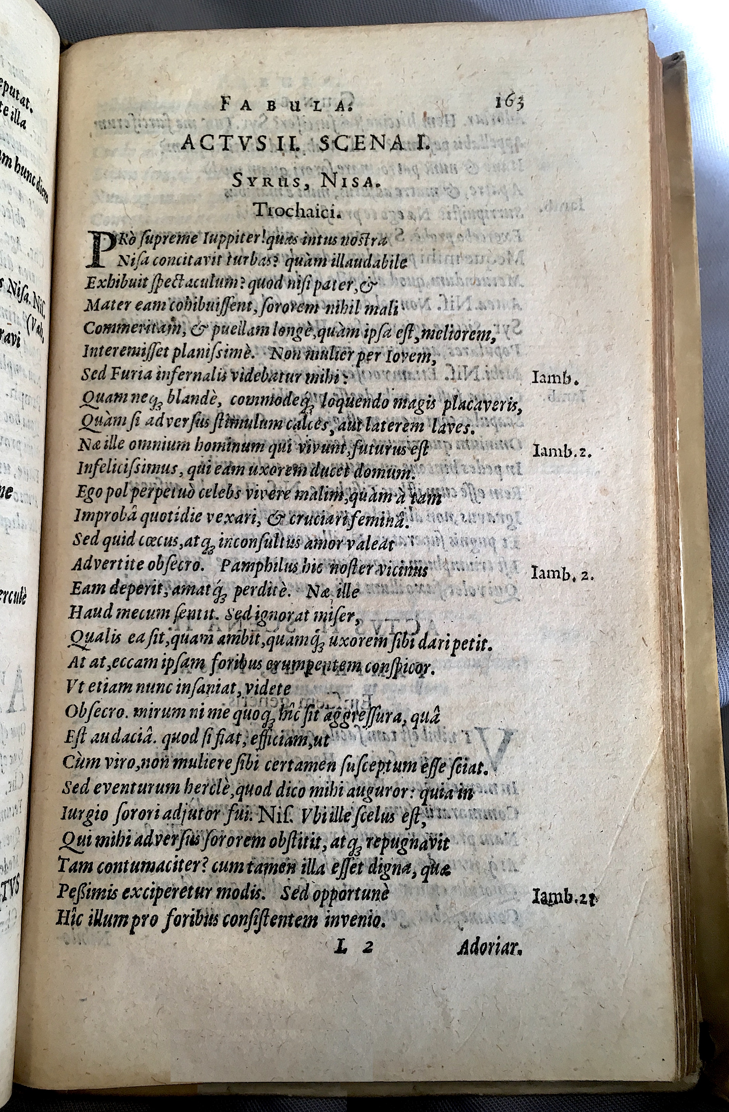 Schonaeus5Cunae1599p163.jpg