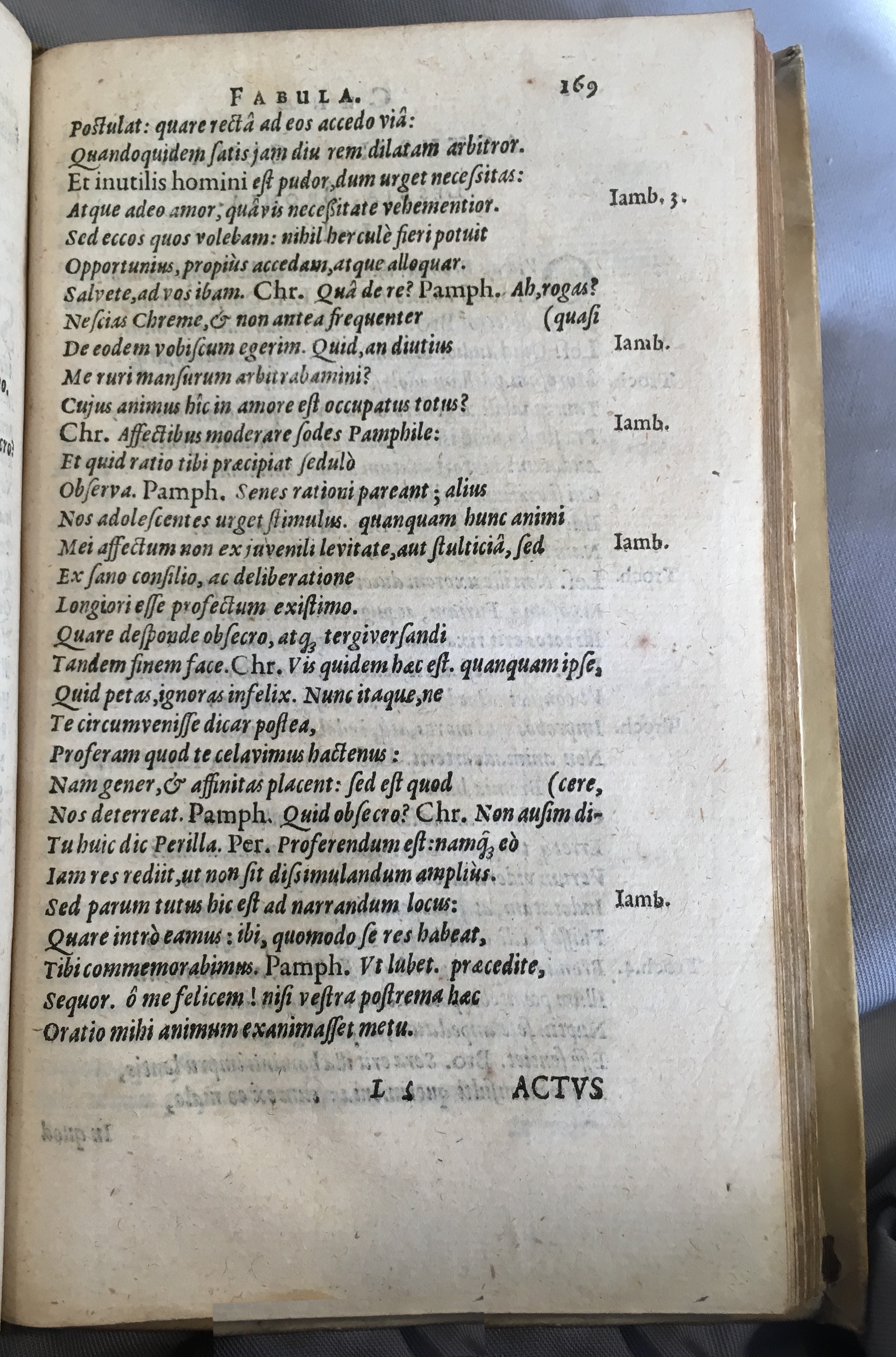 Schonaeus5Cunae1599p169.jpg