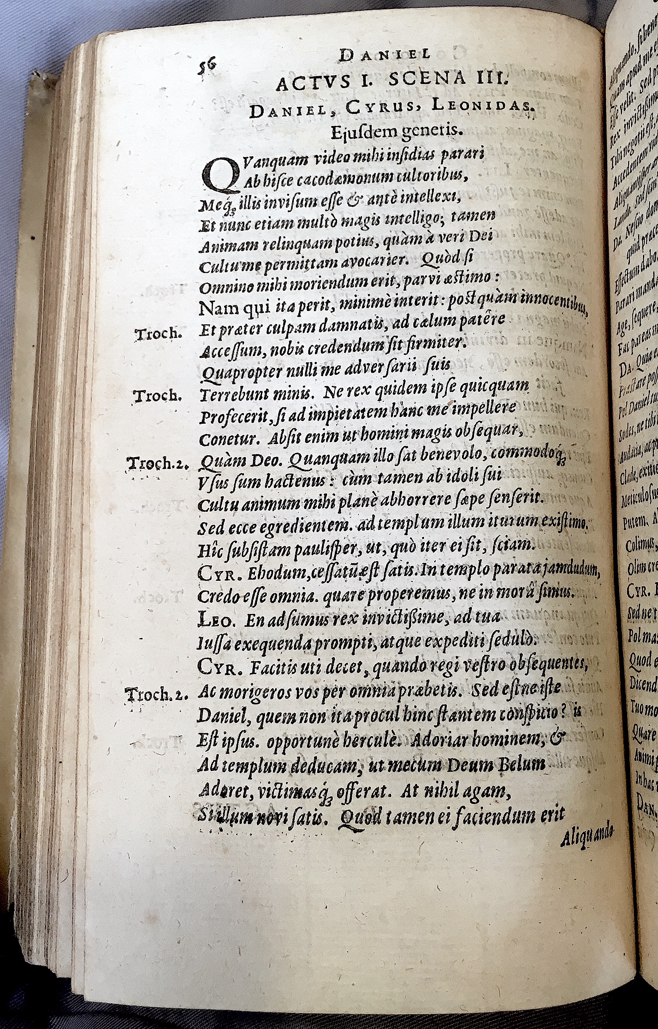 Schonaeus2Daniel1599p056.jpg