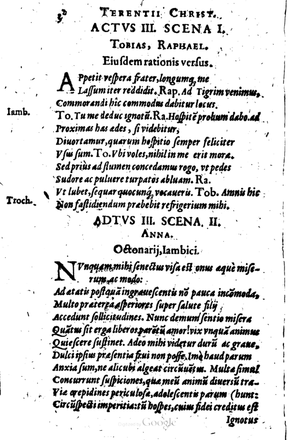 SchonaeusI1614232.jpg