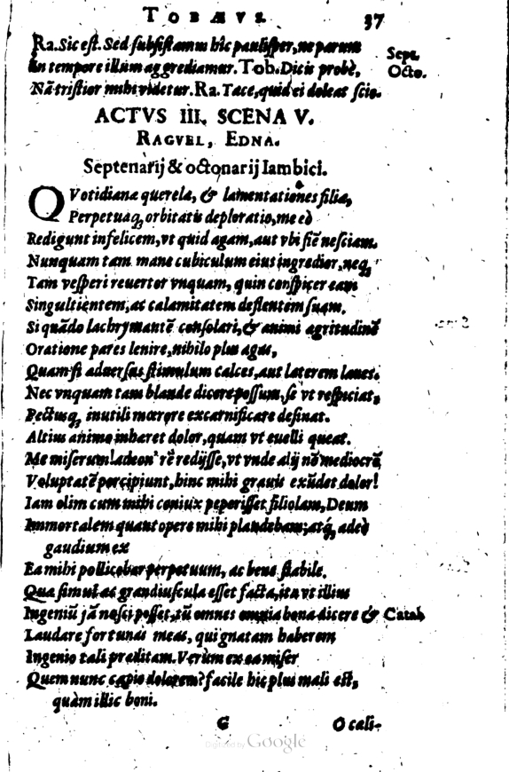 SchonaeusI1614237.jpg