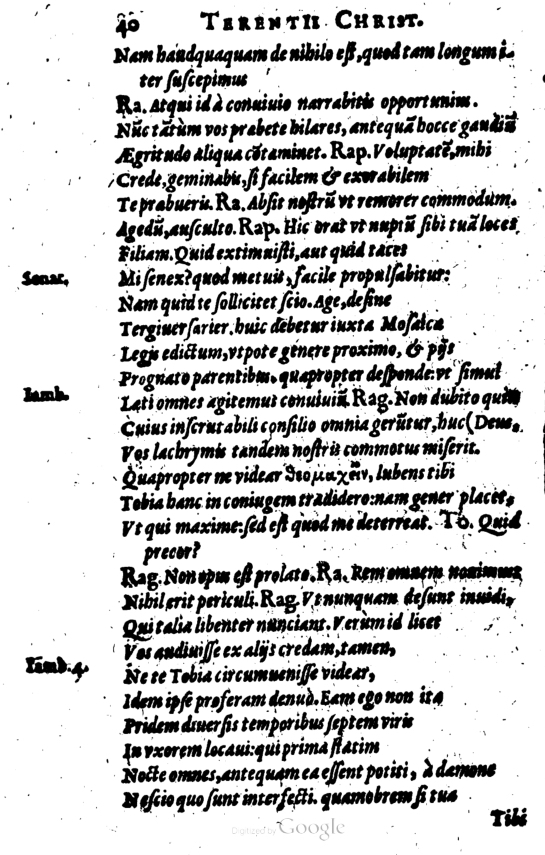 SchonaeusI1614240.jpg