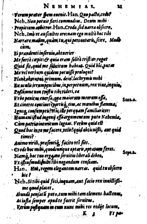 SchonaeusI1614321.jpg