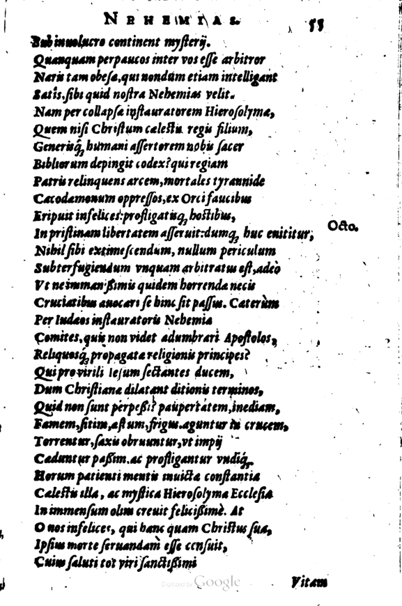 SchonaeusI1614355.jpg