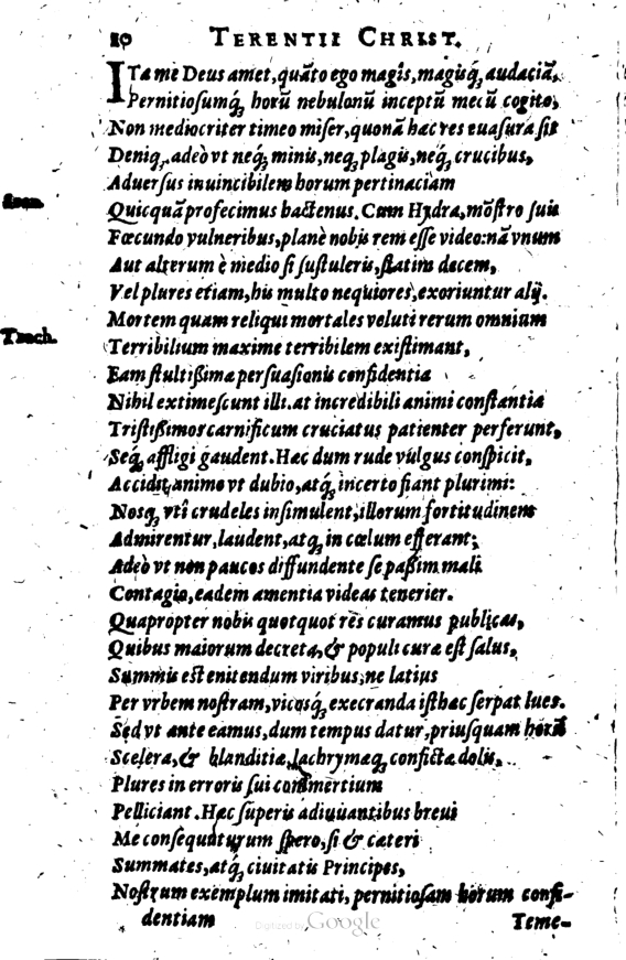 SchonaeusI1614410.jpg