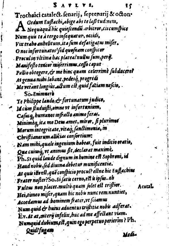 SchonaeusI1614415.jpg