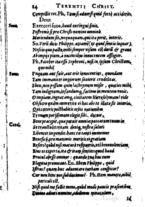 SchonaeusI1614424.jpg