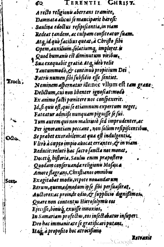 SchonaeusI1614460.jpg