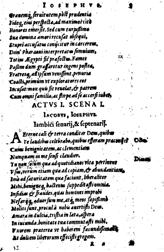 SchonaeusI1614503.jpg