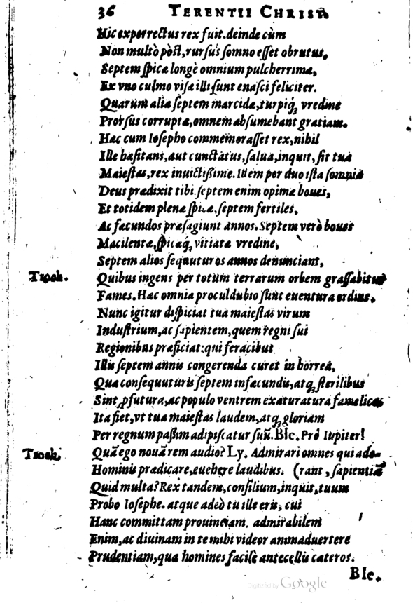 SchonaeusI1614536.jpg