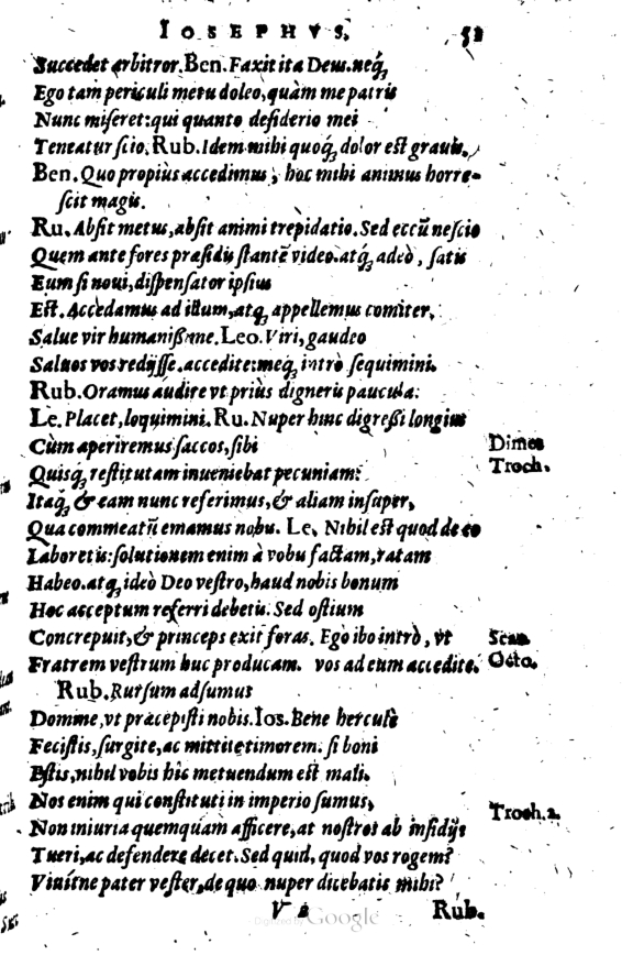 SchonaeusI1614551.jpg