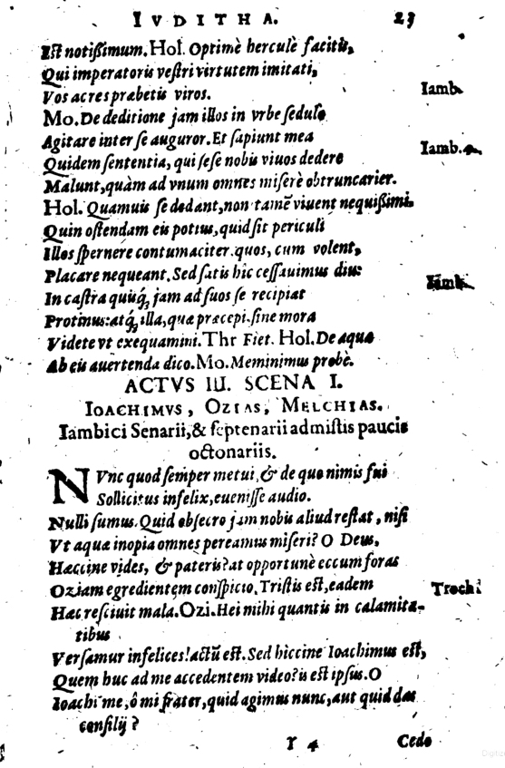 SchonaeusI1614623.jpg